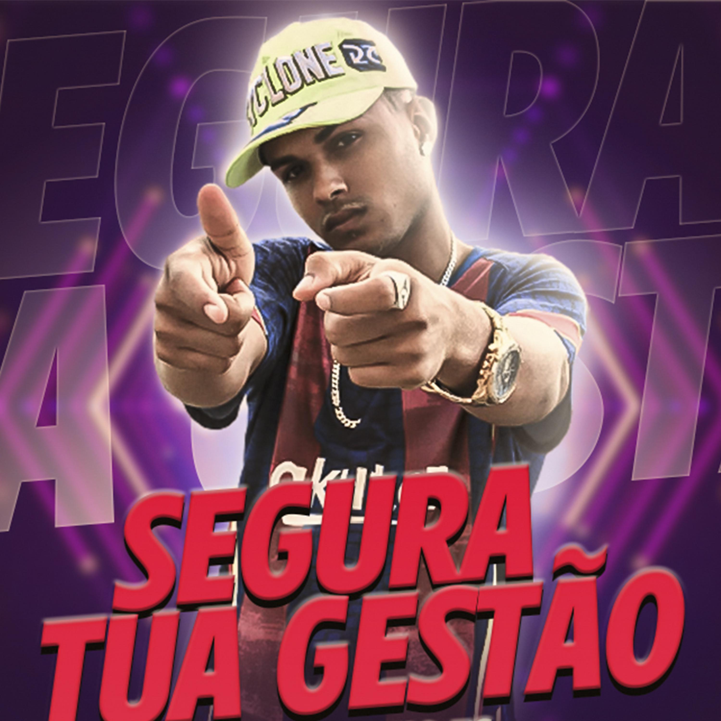 Постер альбома Segura Tua Gestao