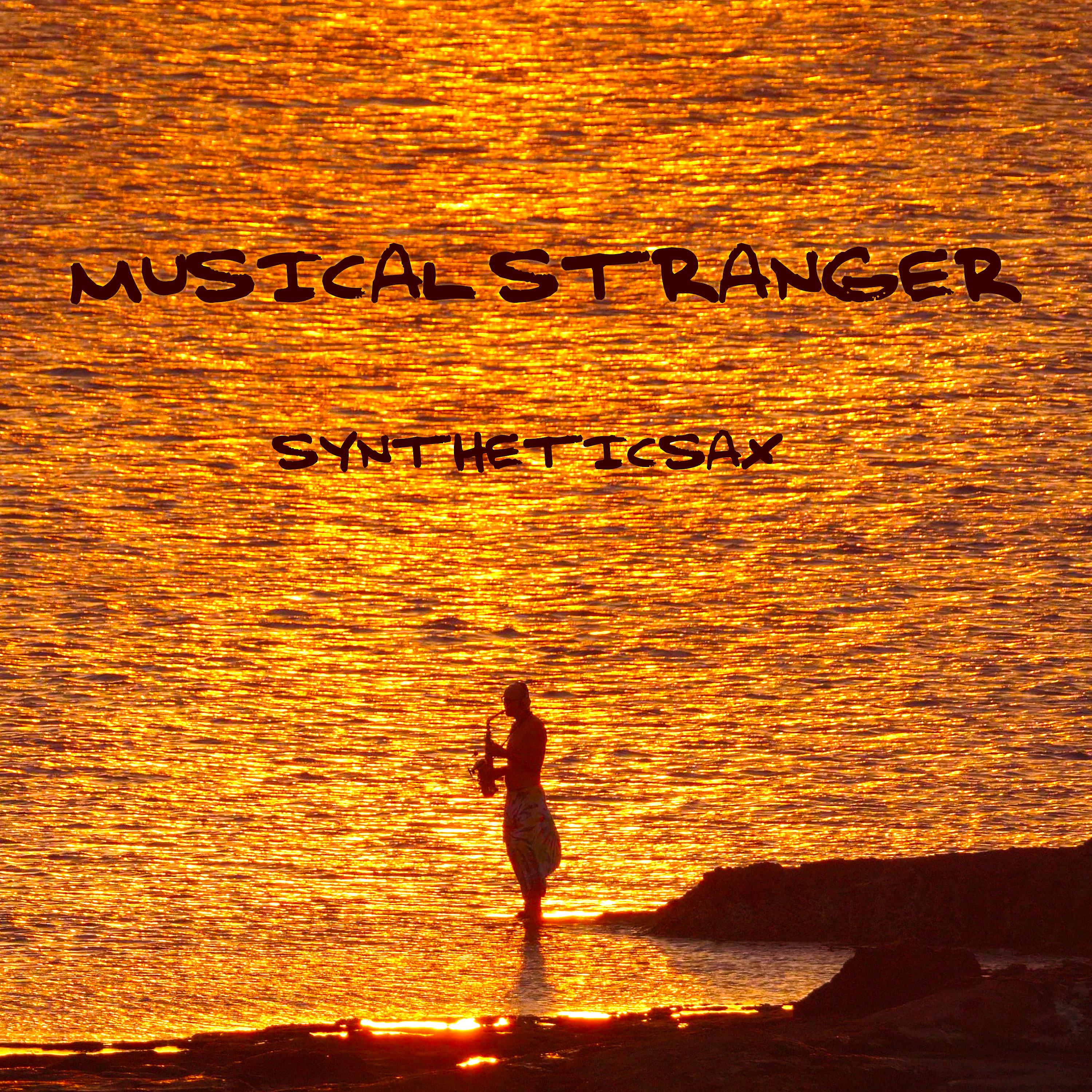 Постер альбома Musical Stranger
