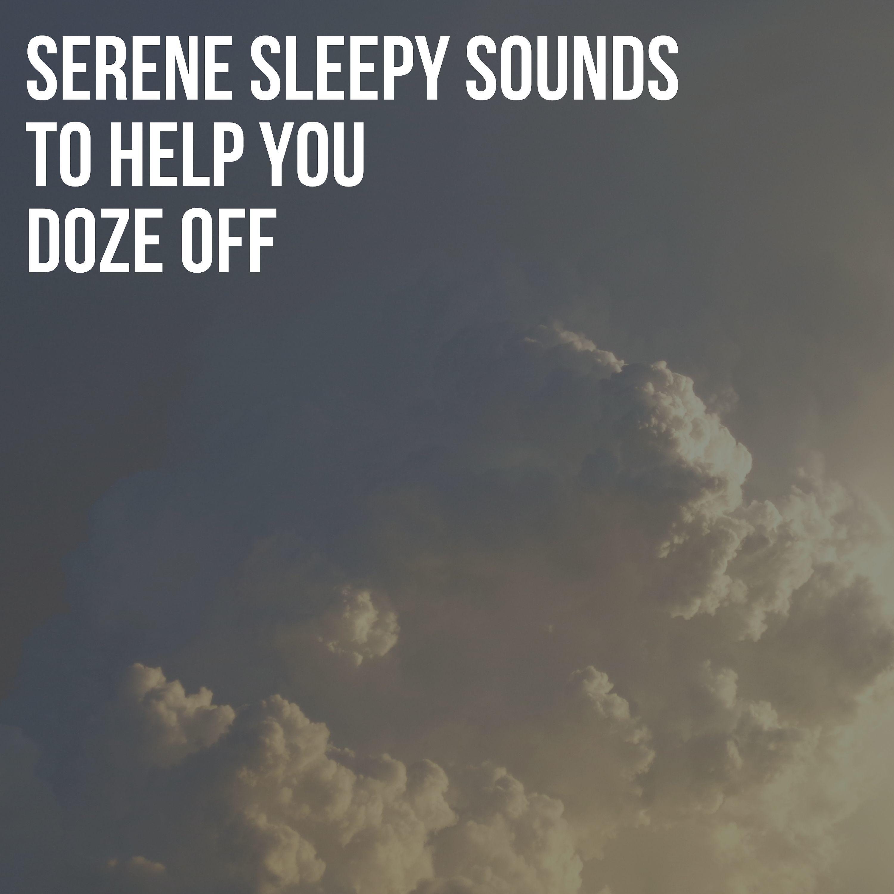 Постер альбома Serene Sleepy Sounds to Help You Doze Off