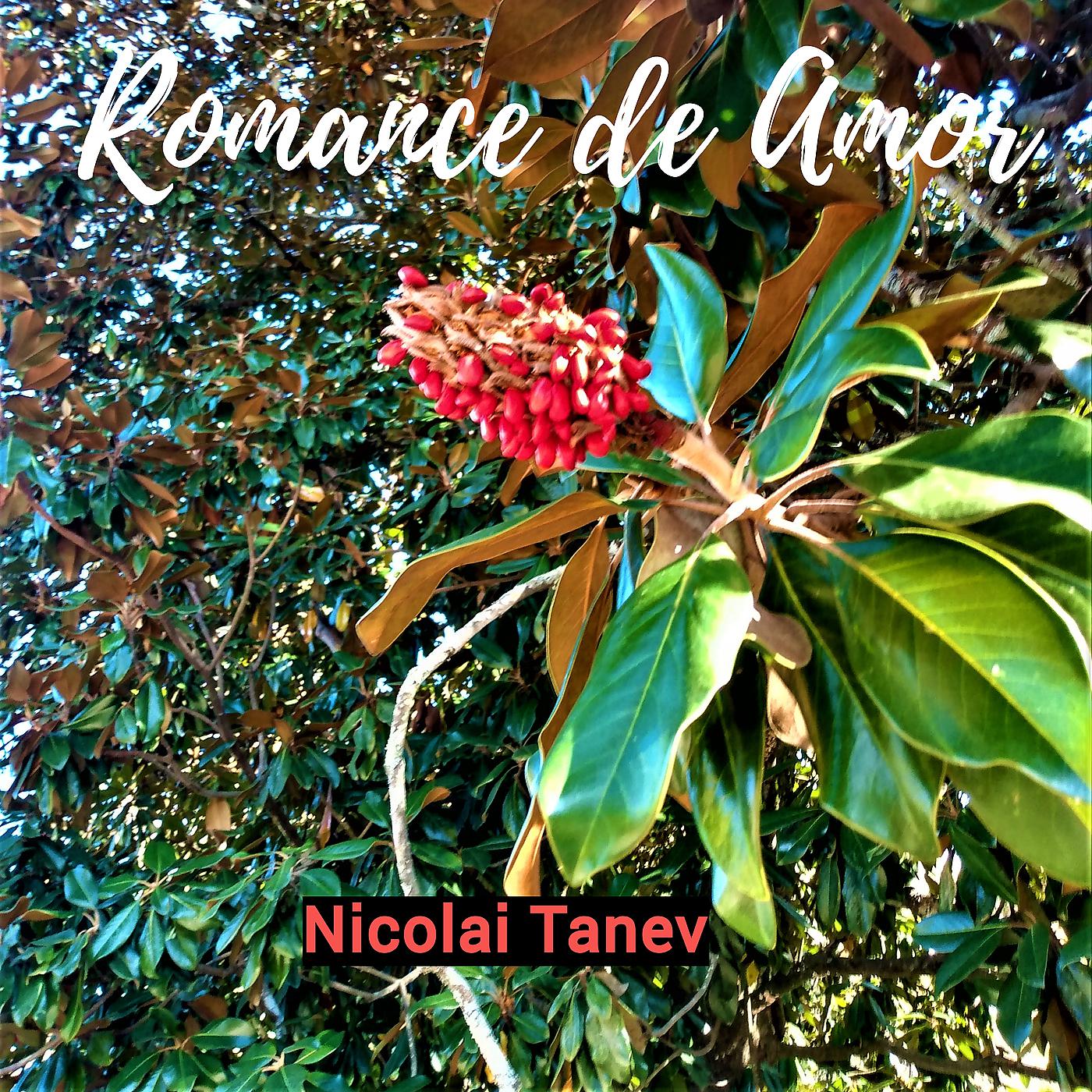 Постер альбома Romance De Amor