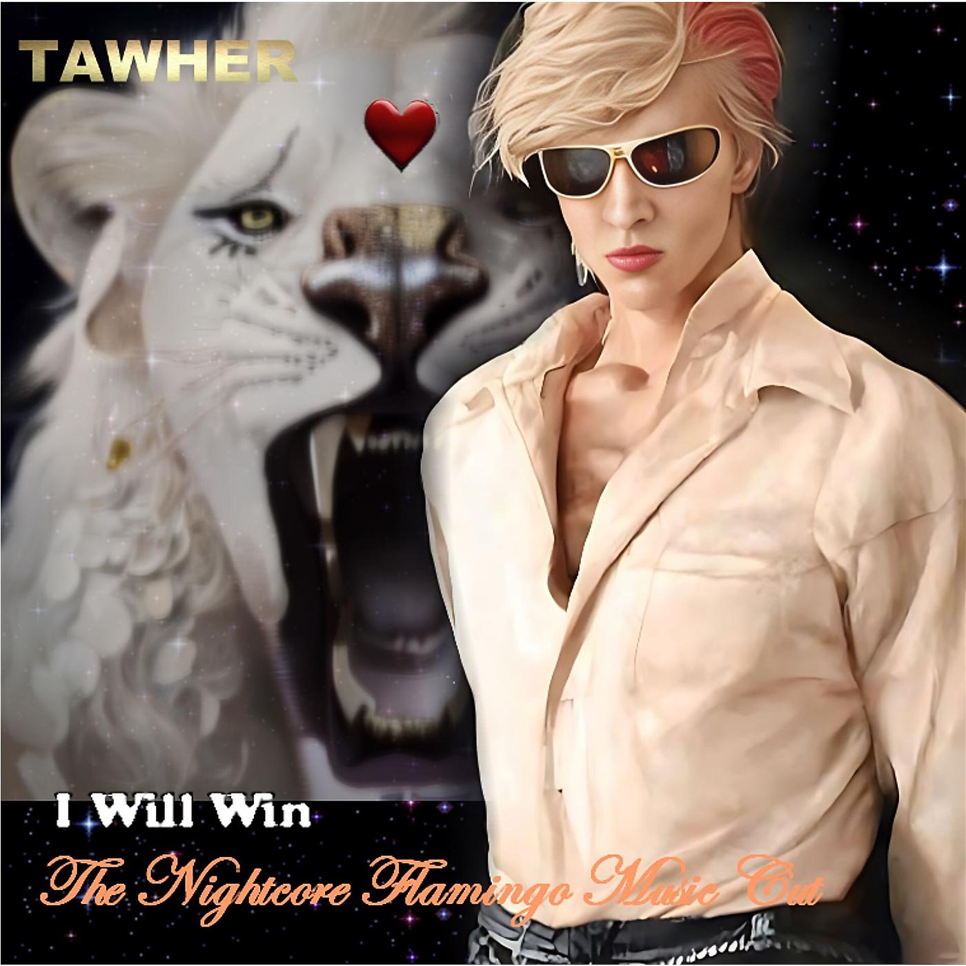 Постер альбома I Will Win (The Nightcore Flamingo Music Cut)