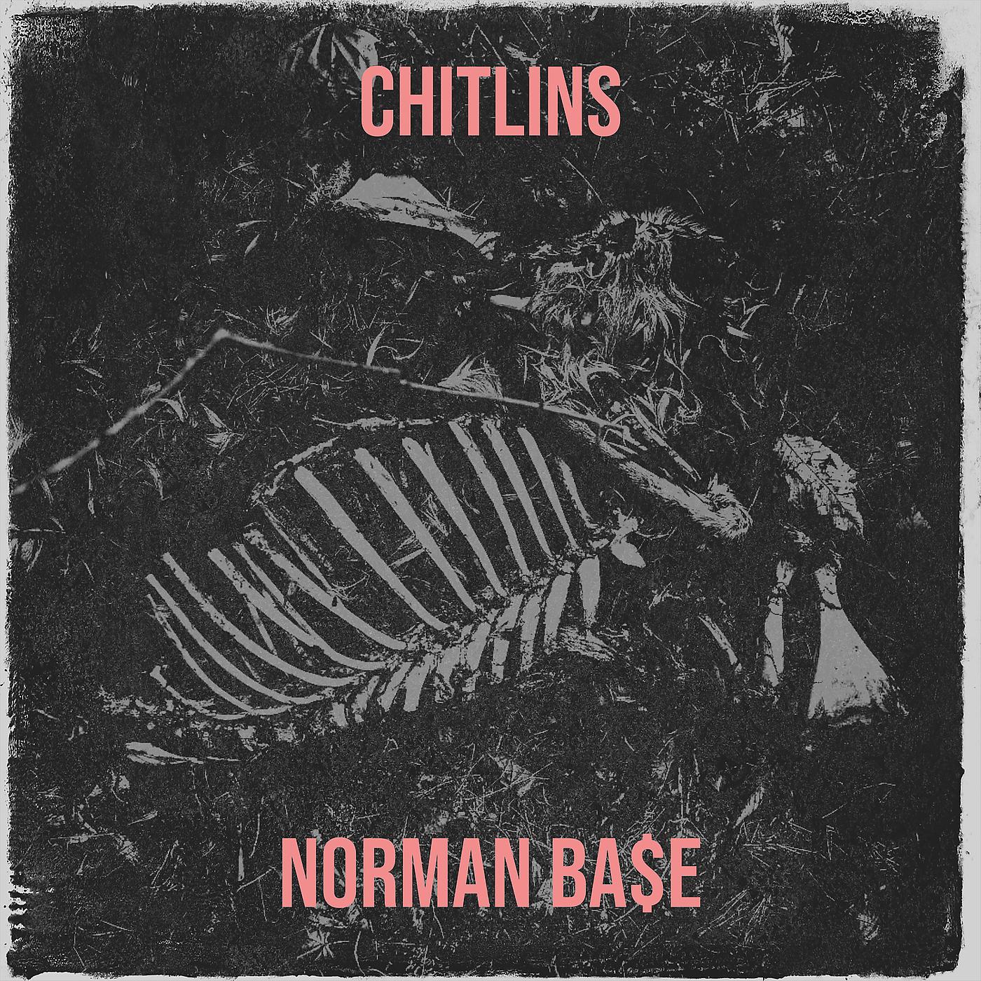 Постер альбома Chitlins