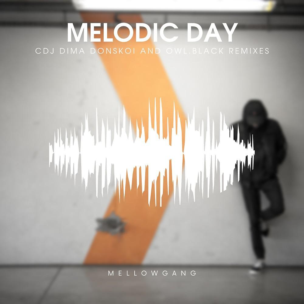Постер альбома Melodic Day (Remixes)