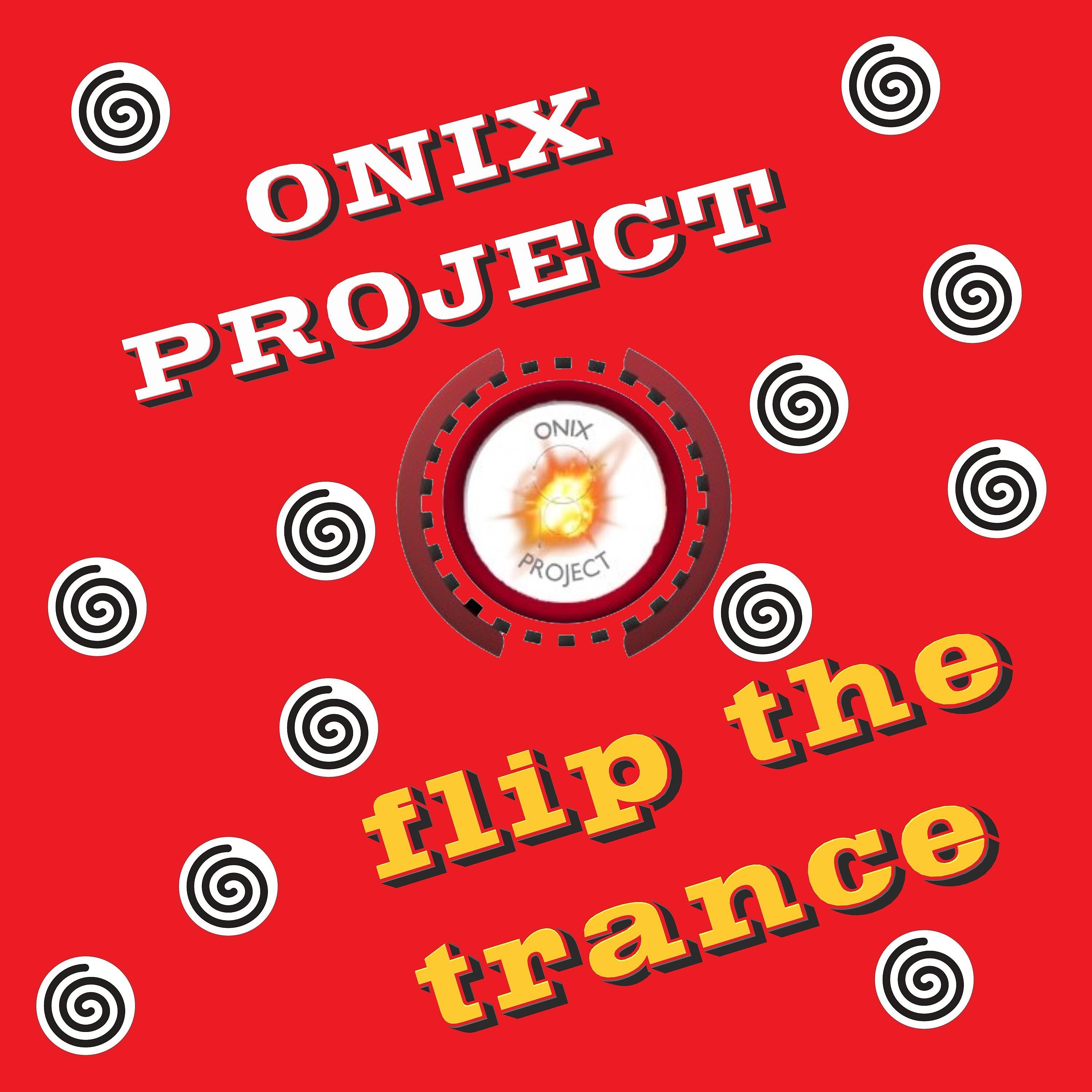 Постер альбома Flip the Trance