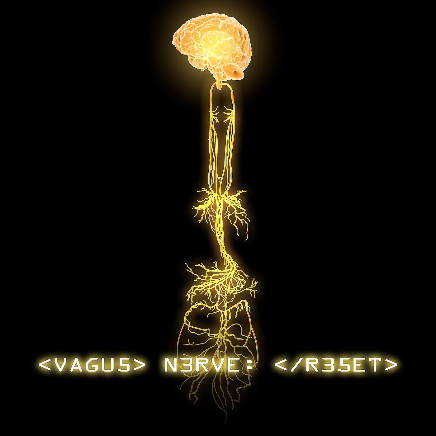 Постер альбома Vagus Nerve Reset