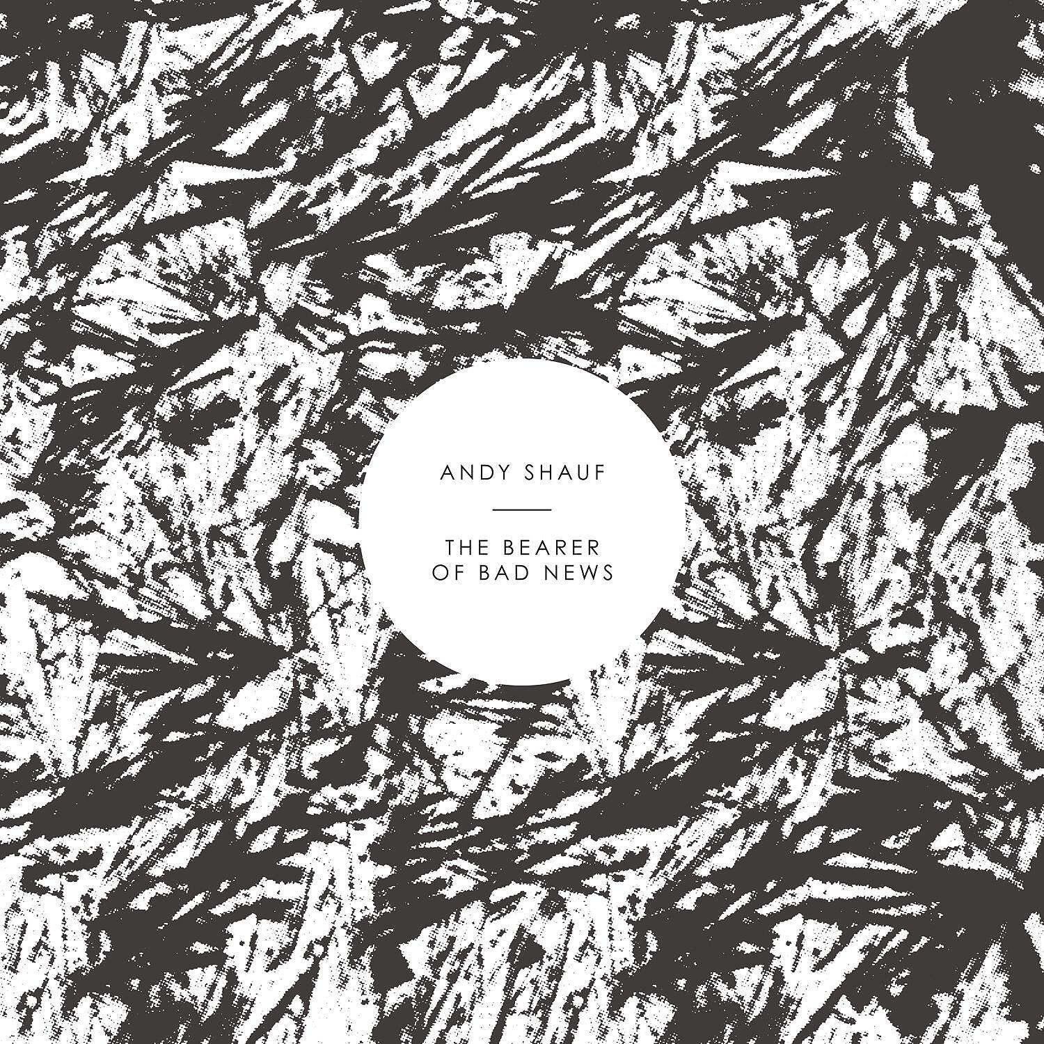Andy Shauf - I'm Not Falling Asleep