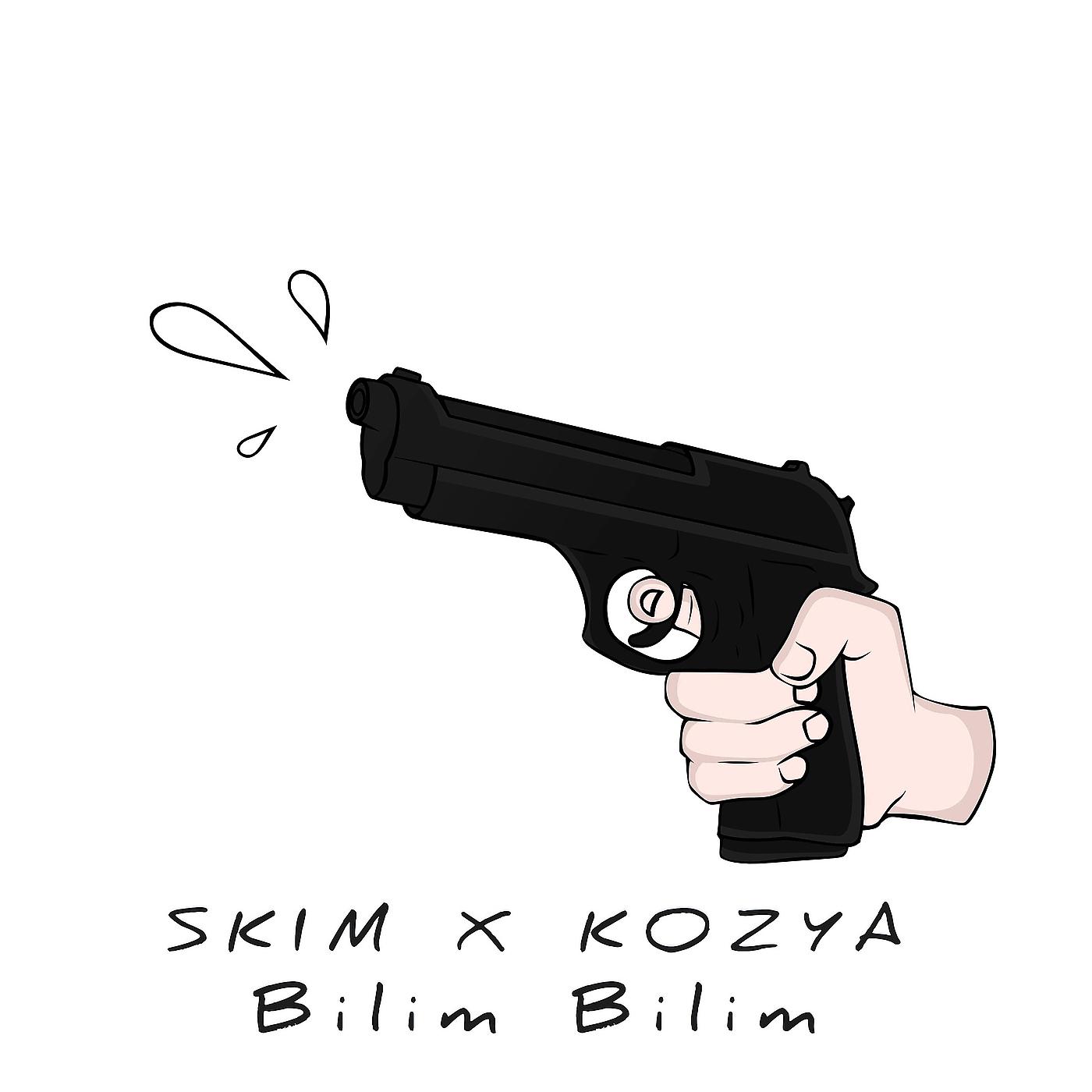 Постер альбома Bilim Bilim