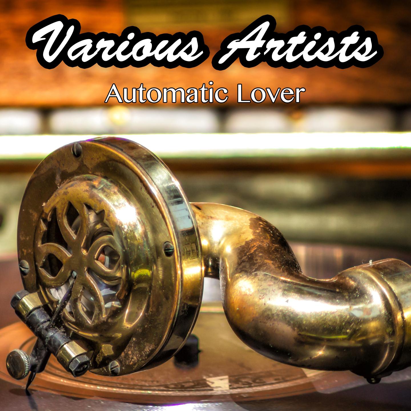 Постер альбома Automatic Lover