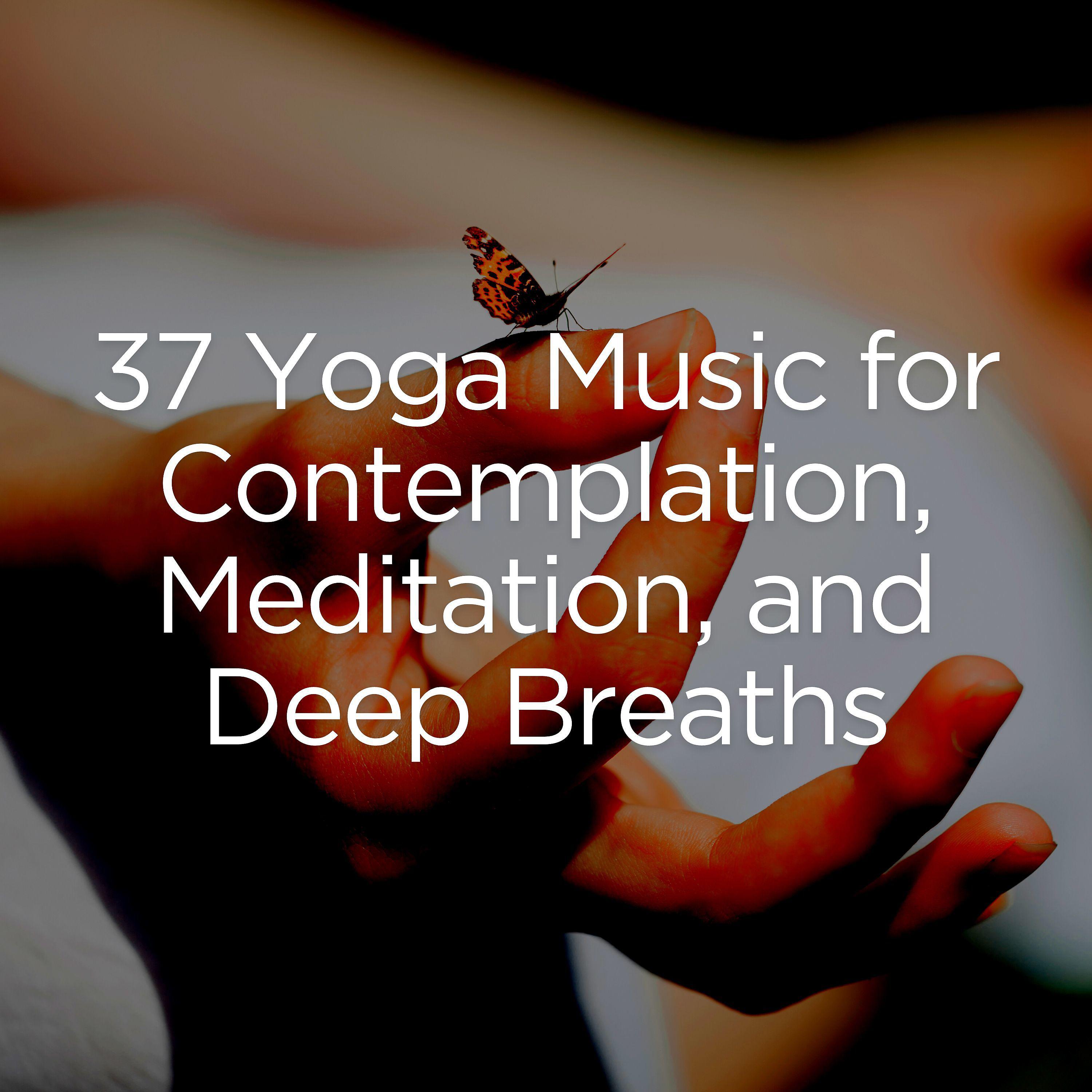 Постер альбома 37 Yoga Music for Contemplation, Meditation, and Deep Breaths