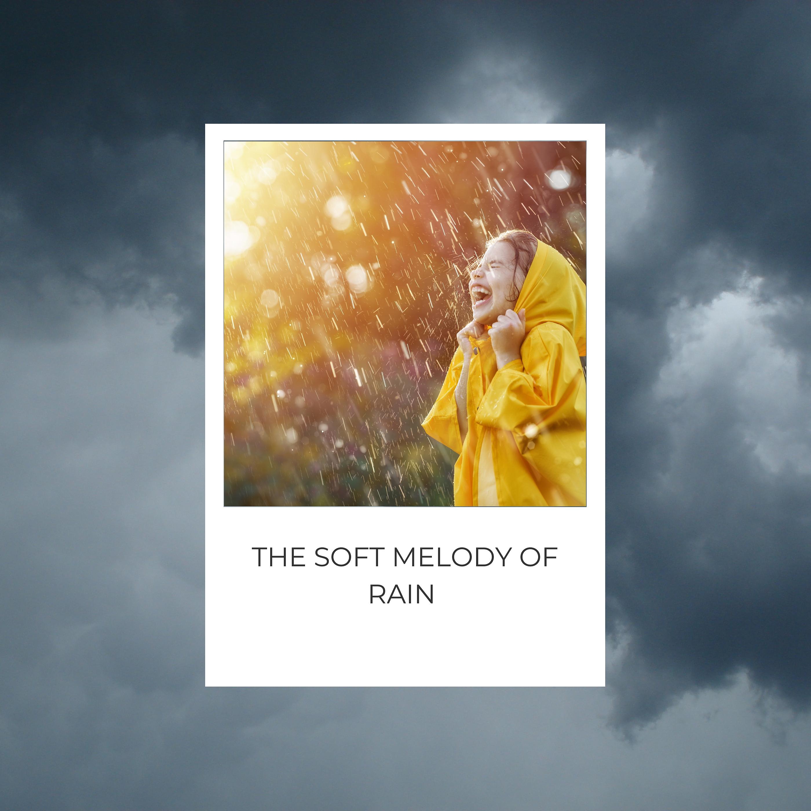 Постер альбома The Soft Melody of Rain