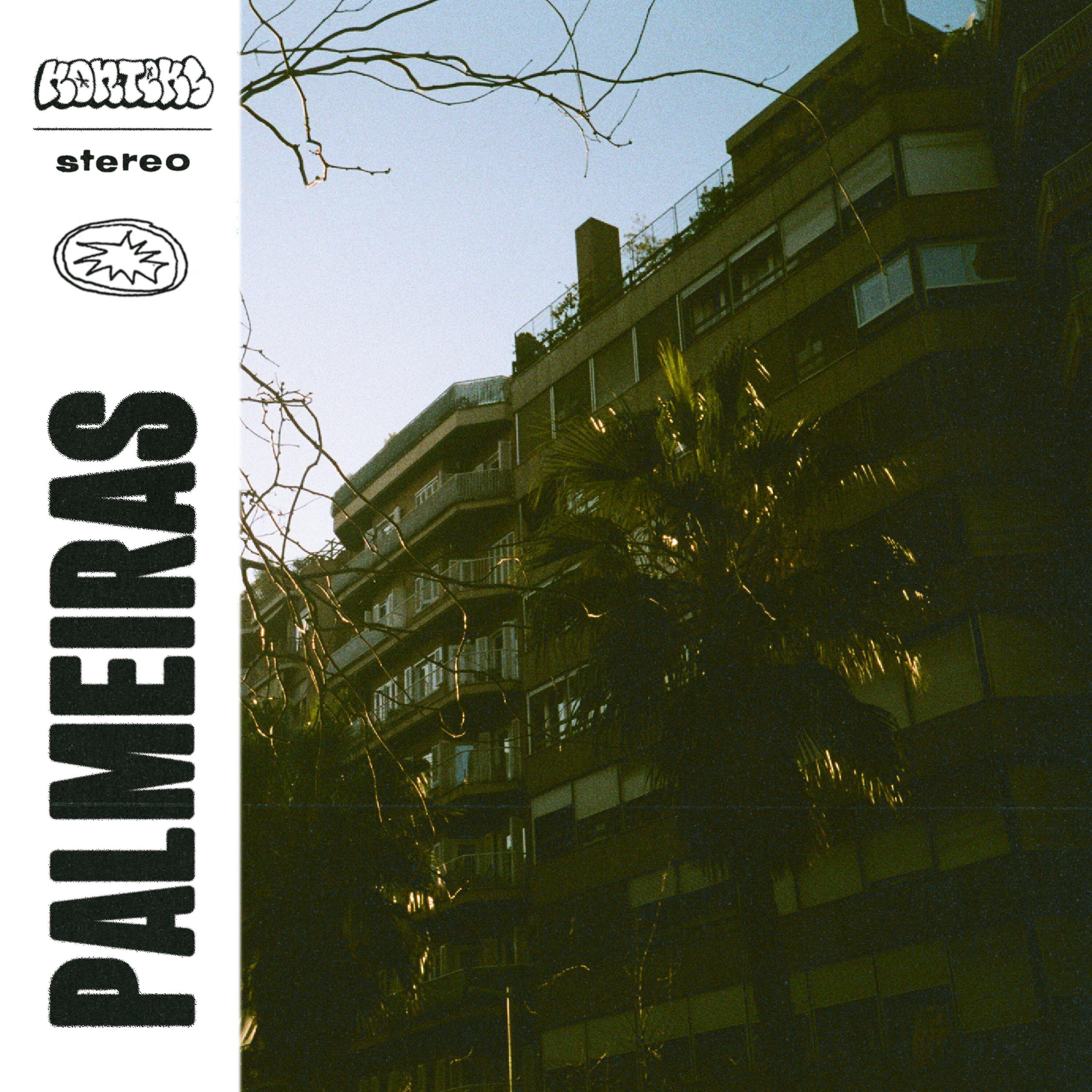 Постер альбома Palmeiras