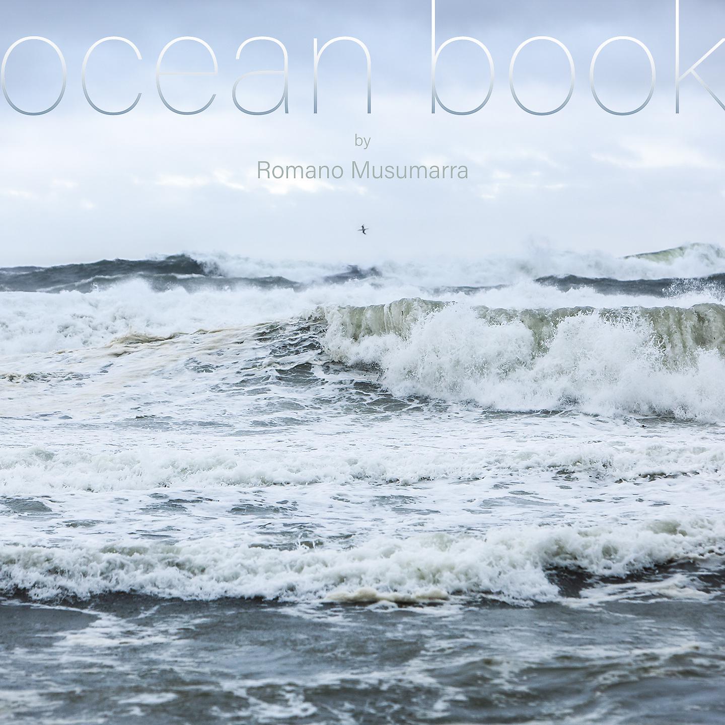 Постер альбома ocean book