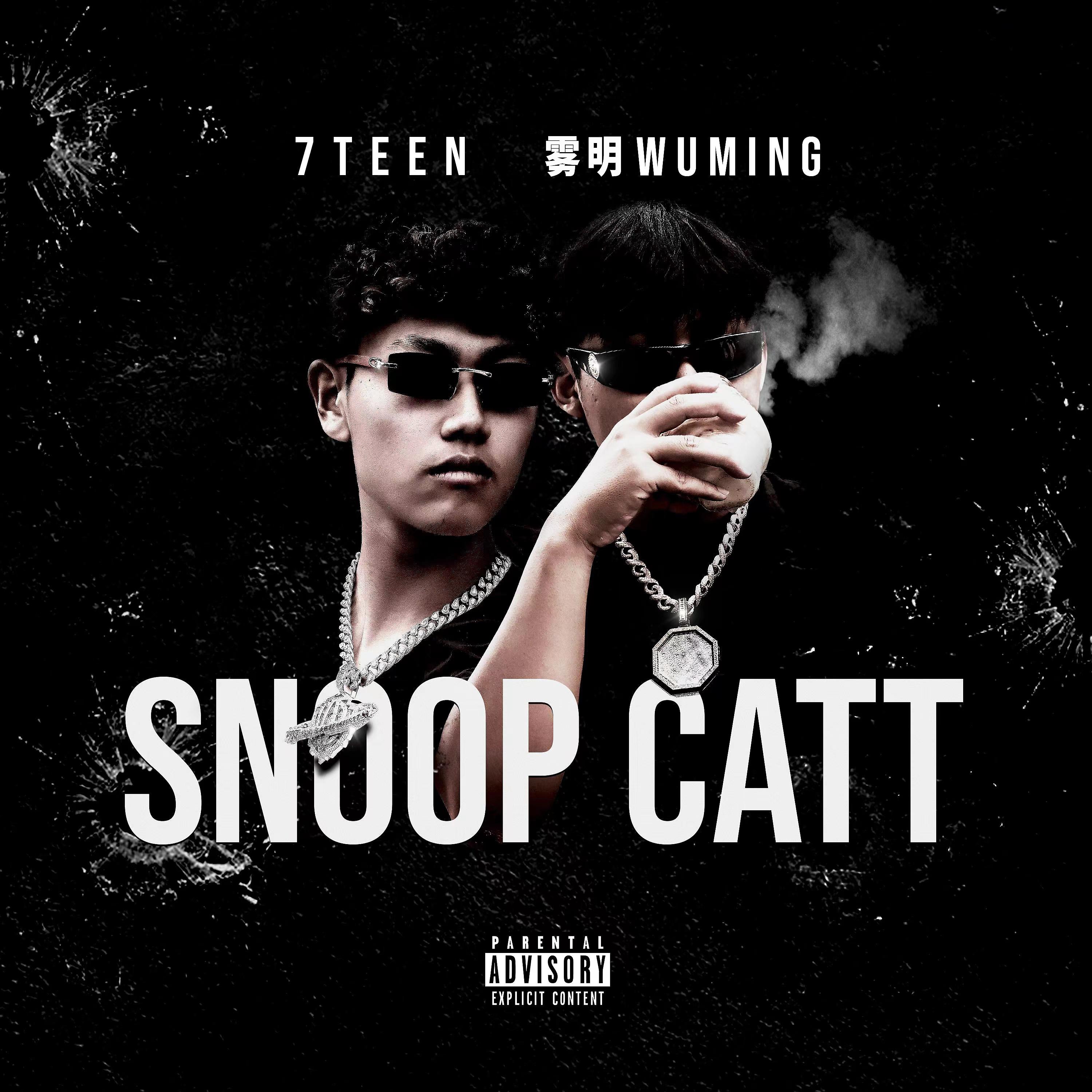 Постер альбома Snoop Catt