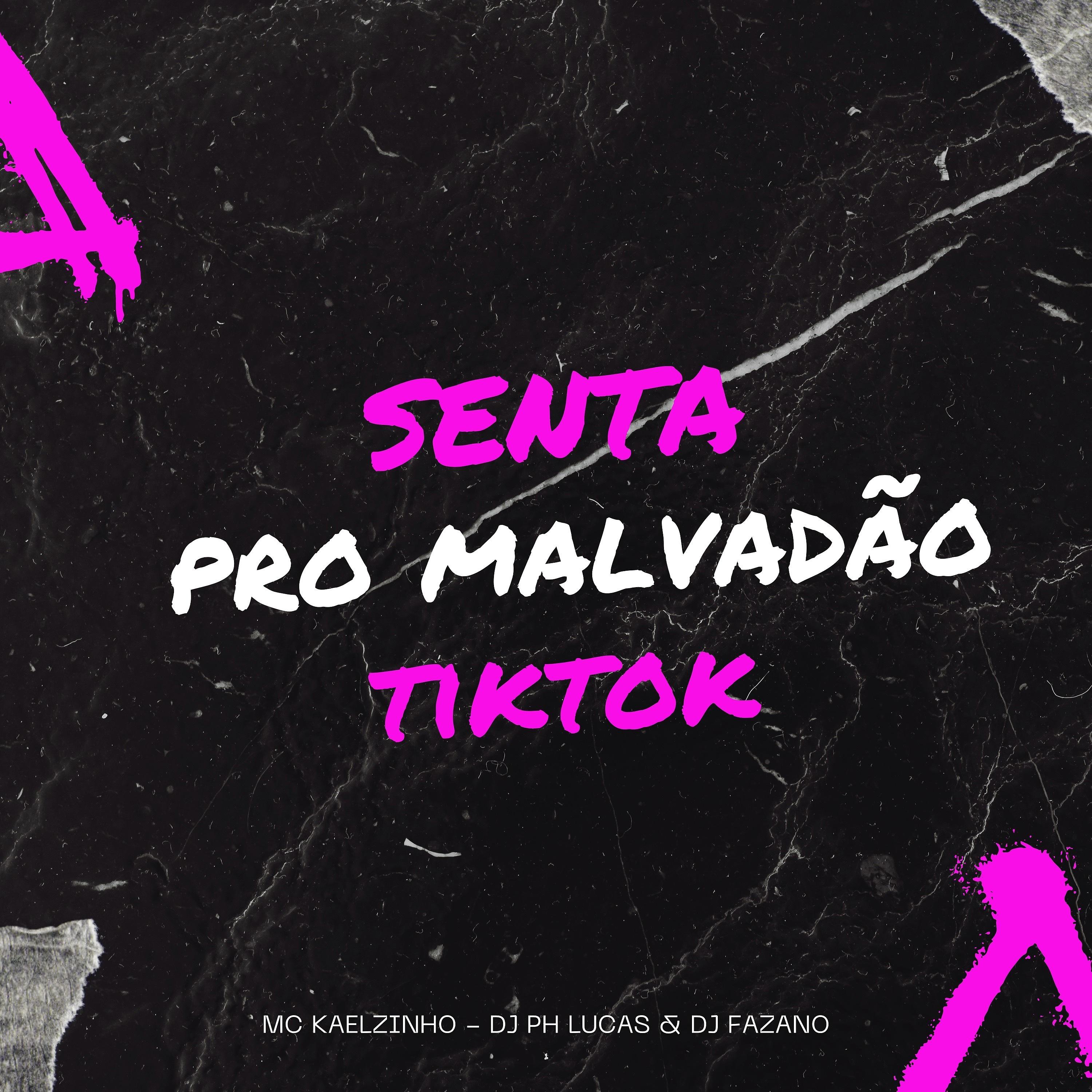 Постер альбома Senta pro Malvadão Tiktok