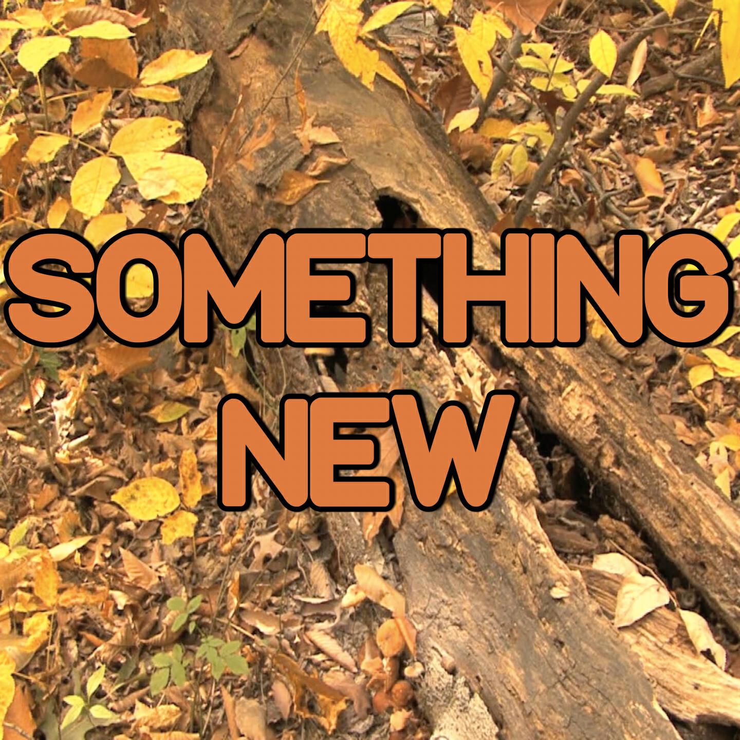 2015 Hammer Hits - Something New - Tribute to Axwell Ingrosso (Instrumental Version)