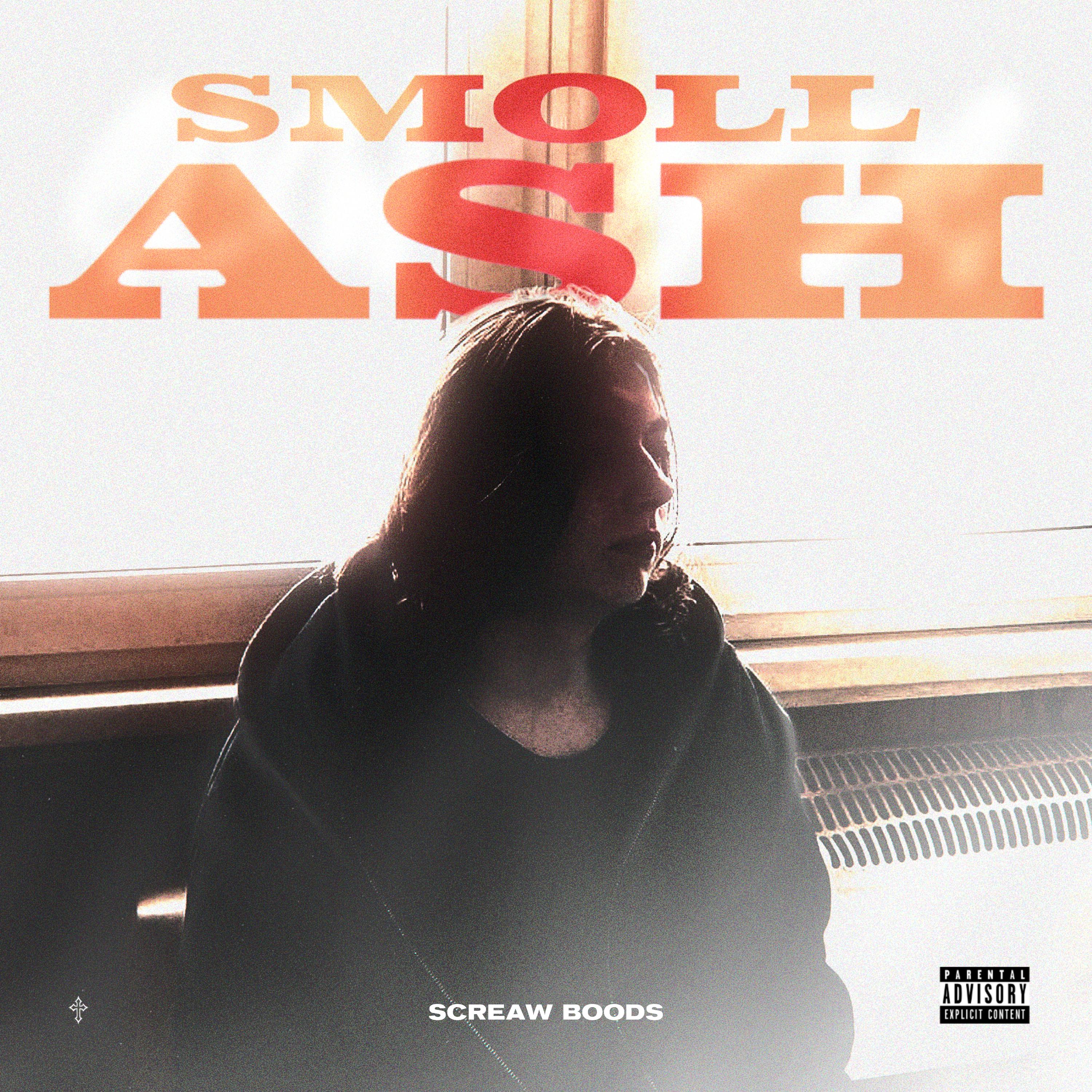 Постер альбома Smoll ash