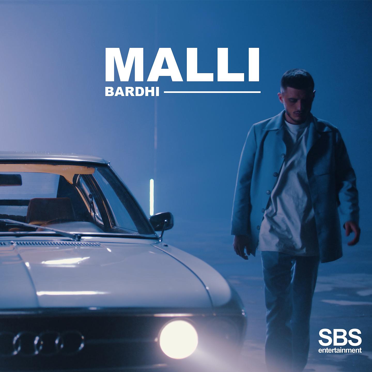 Постер альбома MALLI