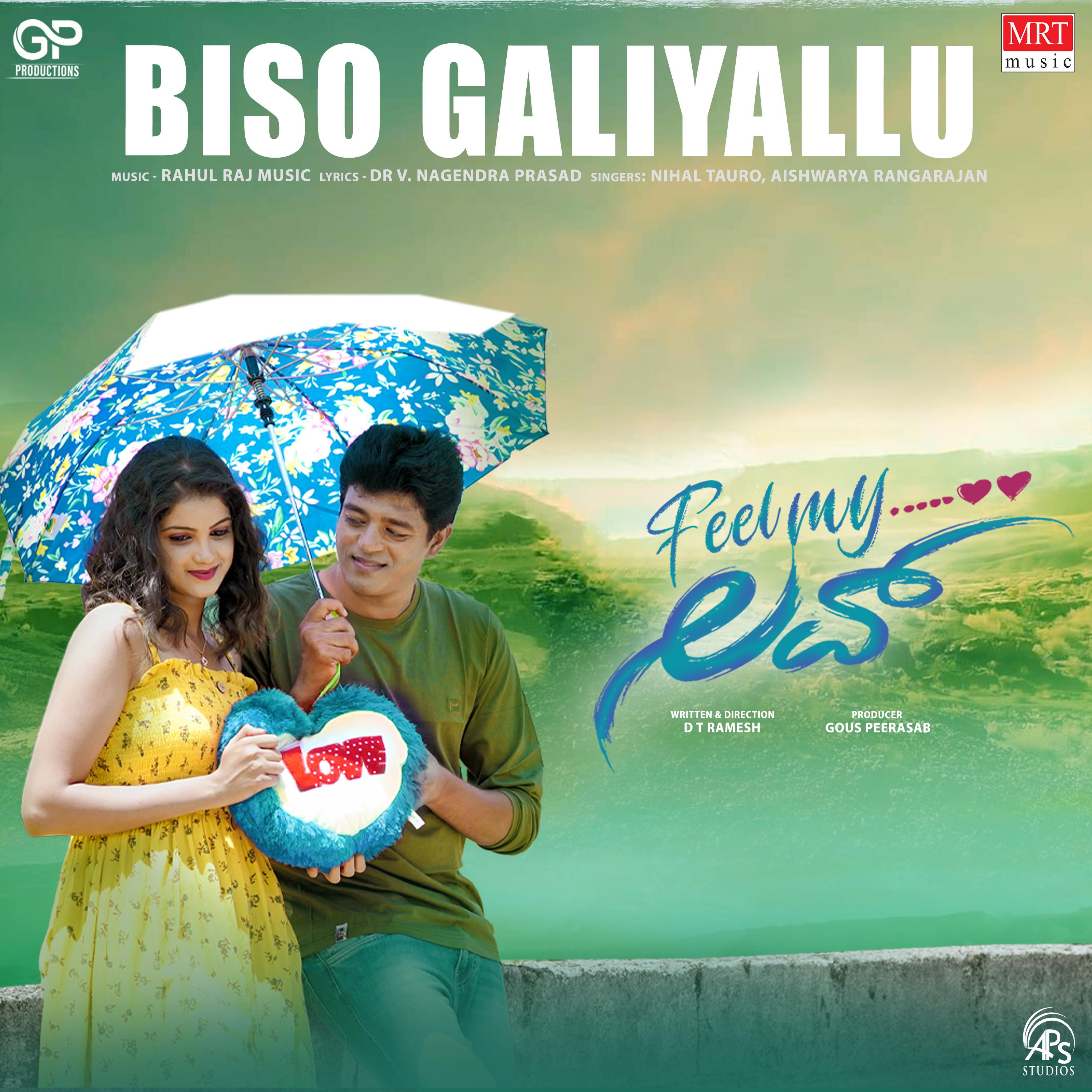 Постер альбома Biso Galiyallu