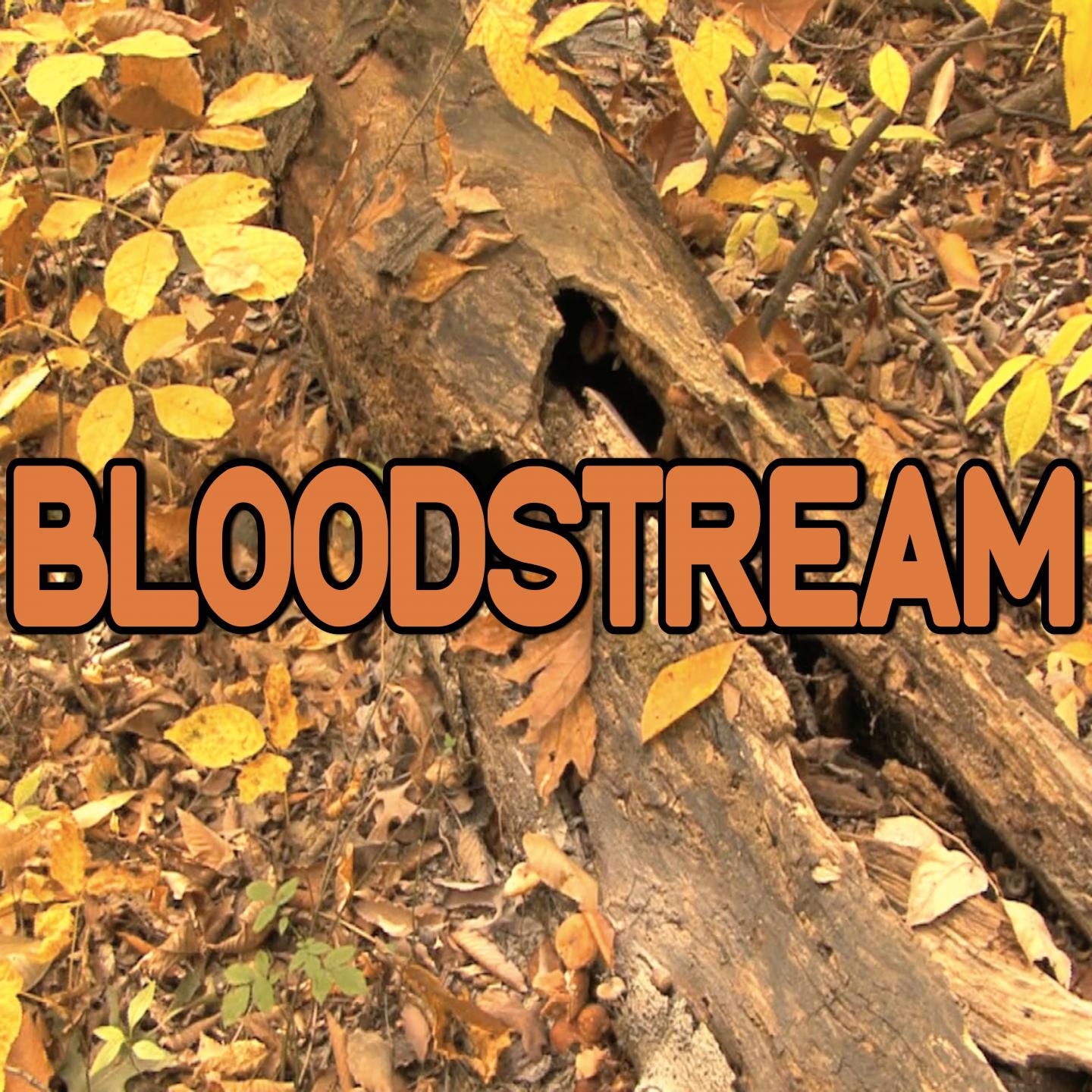 2015 Hammer Hits - Bloodstream - Tribute to Ed Sheeran and Rudimental