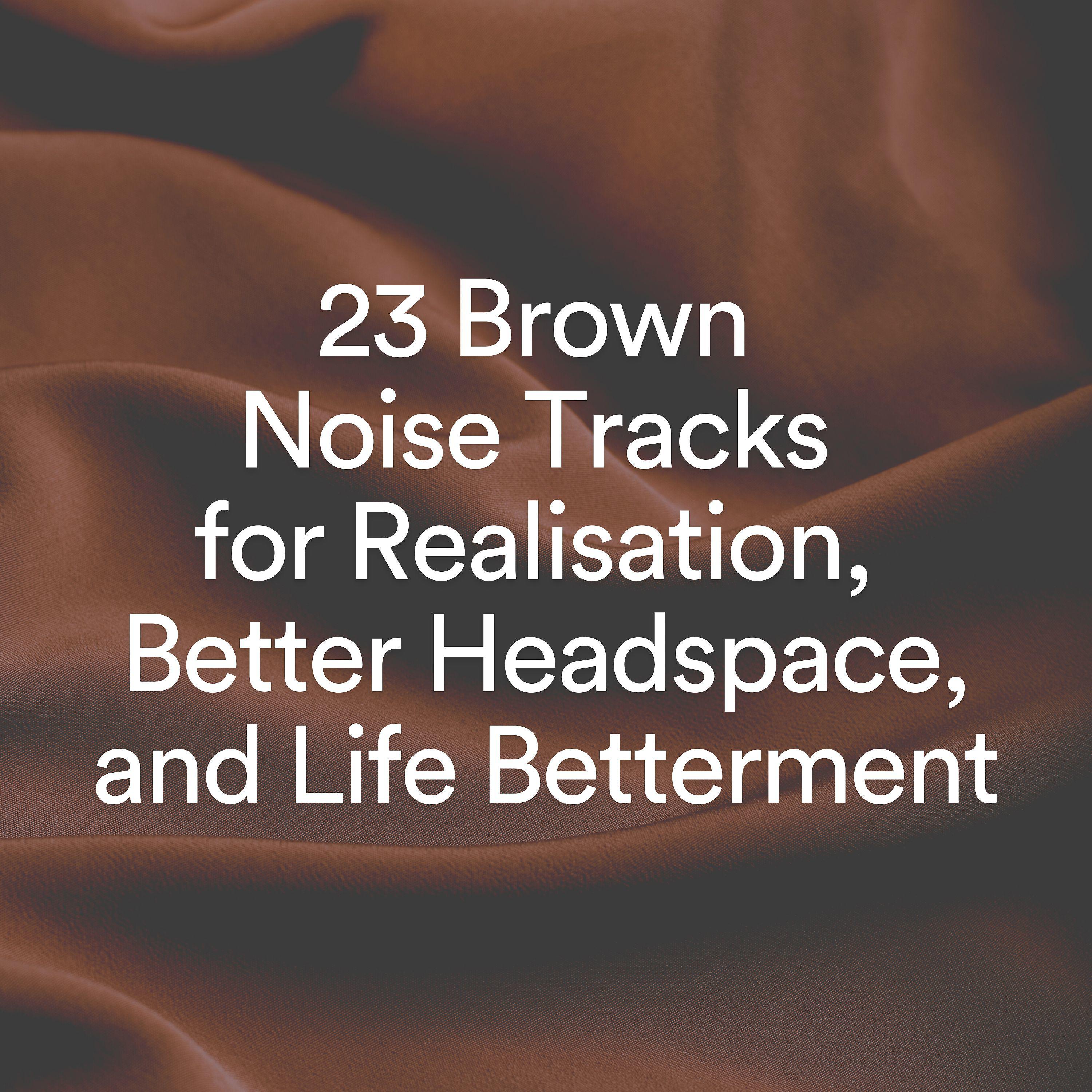 Постер альбома 23 Brown Noise Tracks for Realization, Better Headspace, and Life Betterment