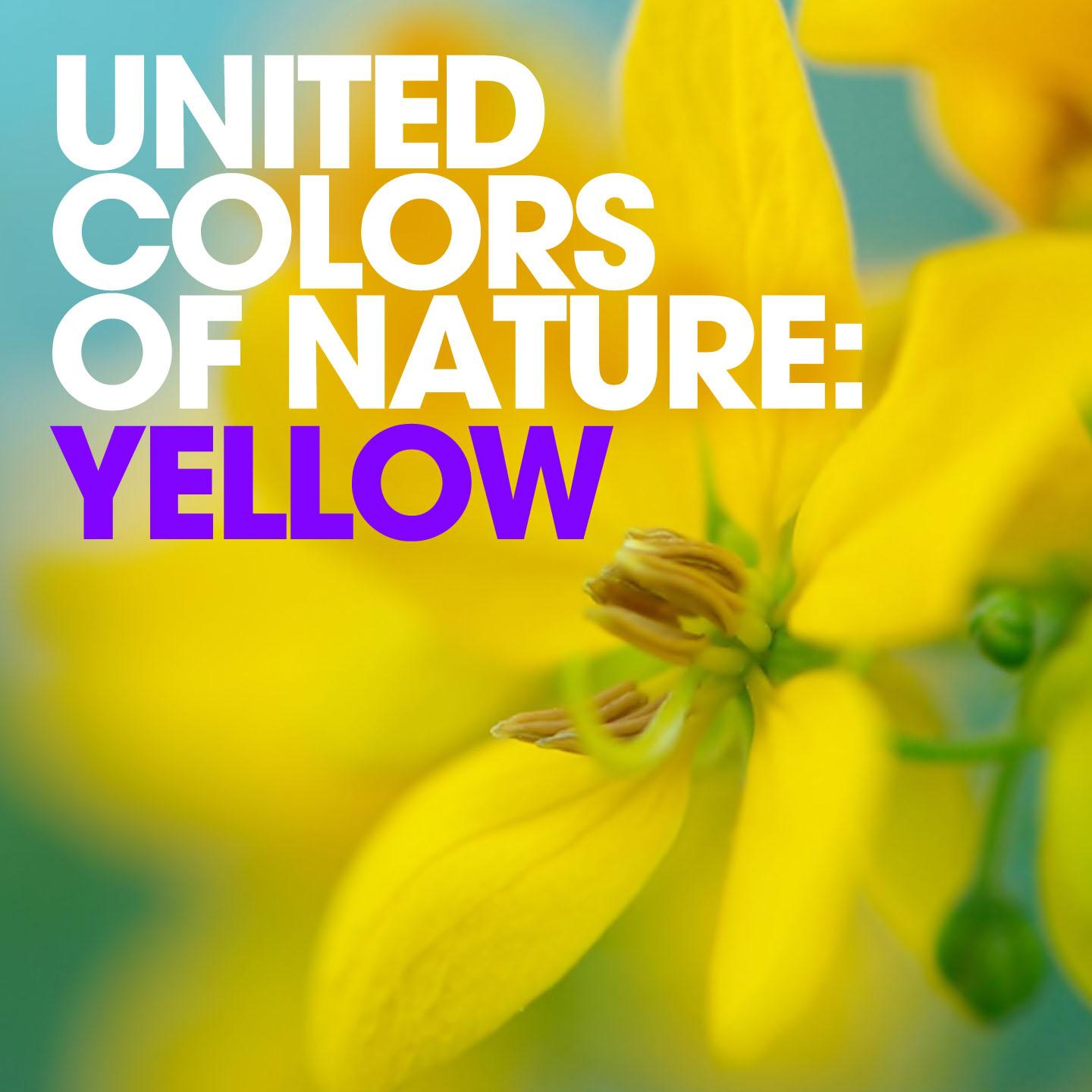 Постер альбома United Colors of Nature: Yellow