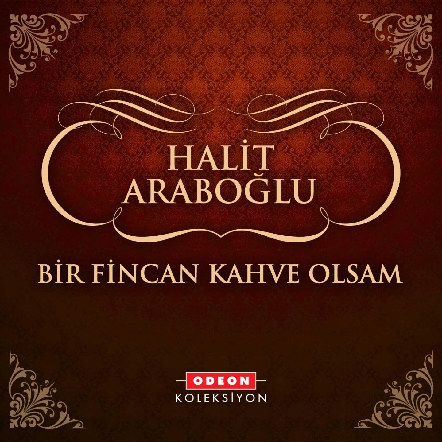 Постер альбома Bir Fincan Kahve Olsan