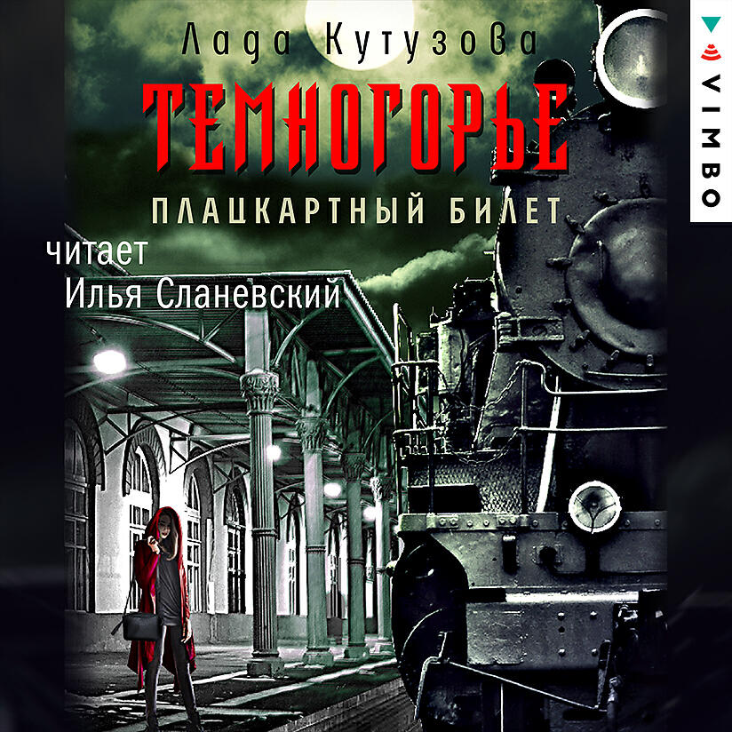 Постер альбома Темногорье. Плацкартный билет (Исполняет: Илья Сланевский) 12++