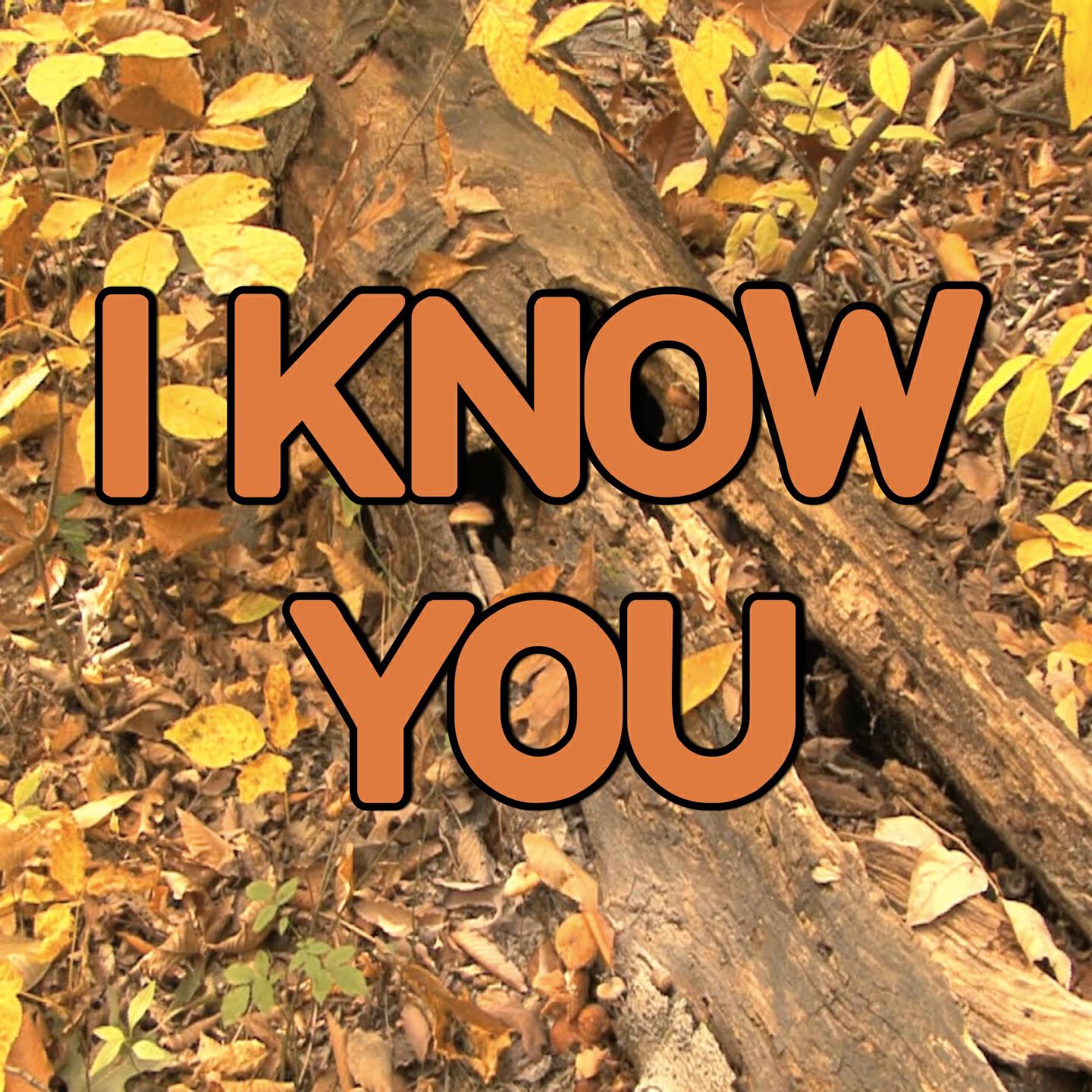 2015 Hammer Hits - I Know You - Tribute to 50 Shades of Grey (Instrumental Version)