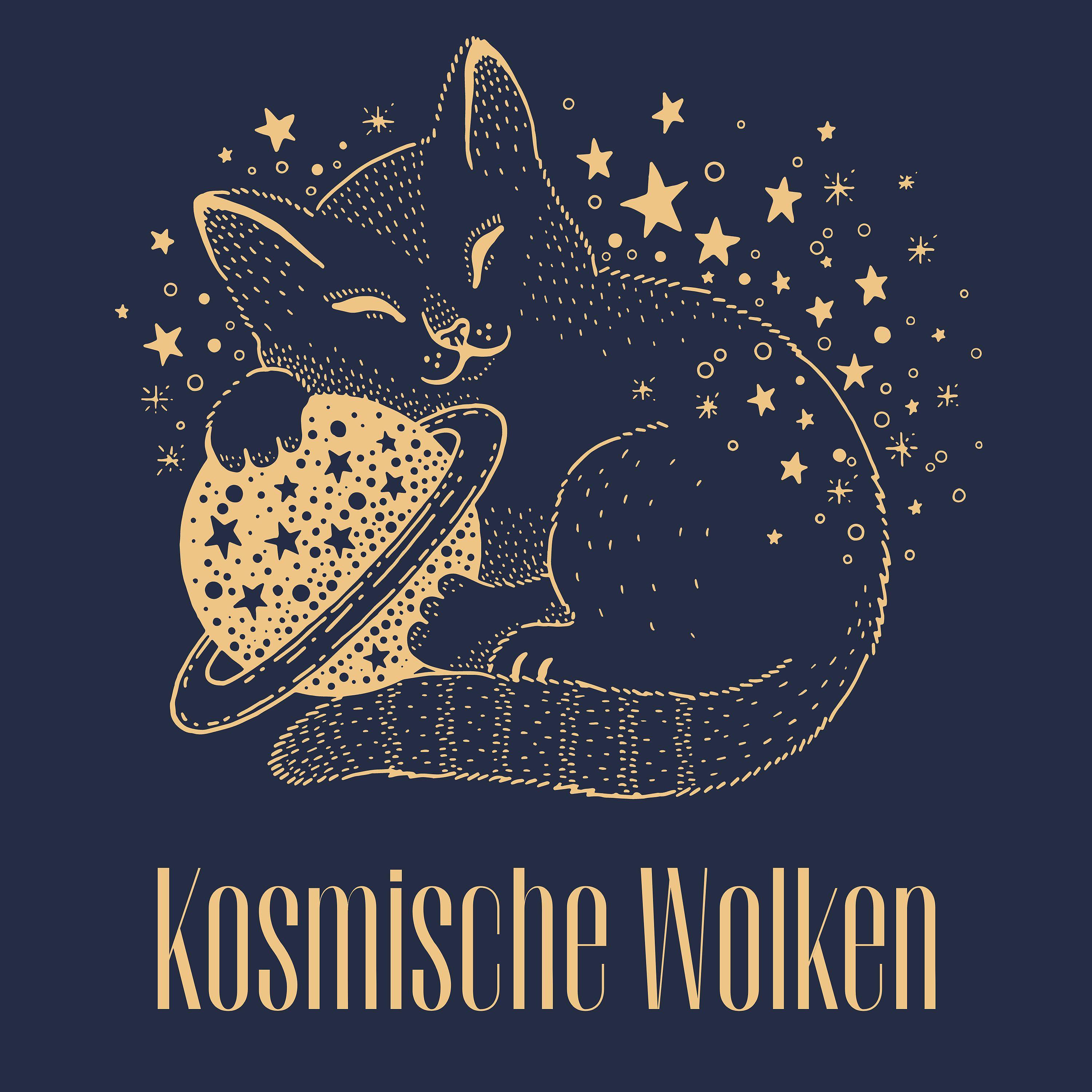 Постер альбома Kosmische Wolken