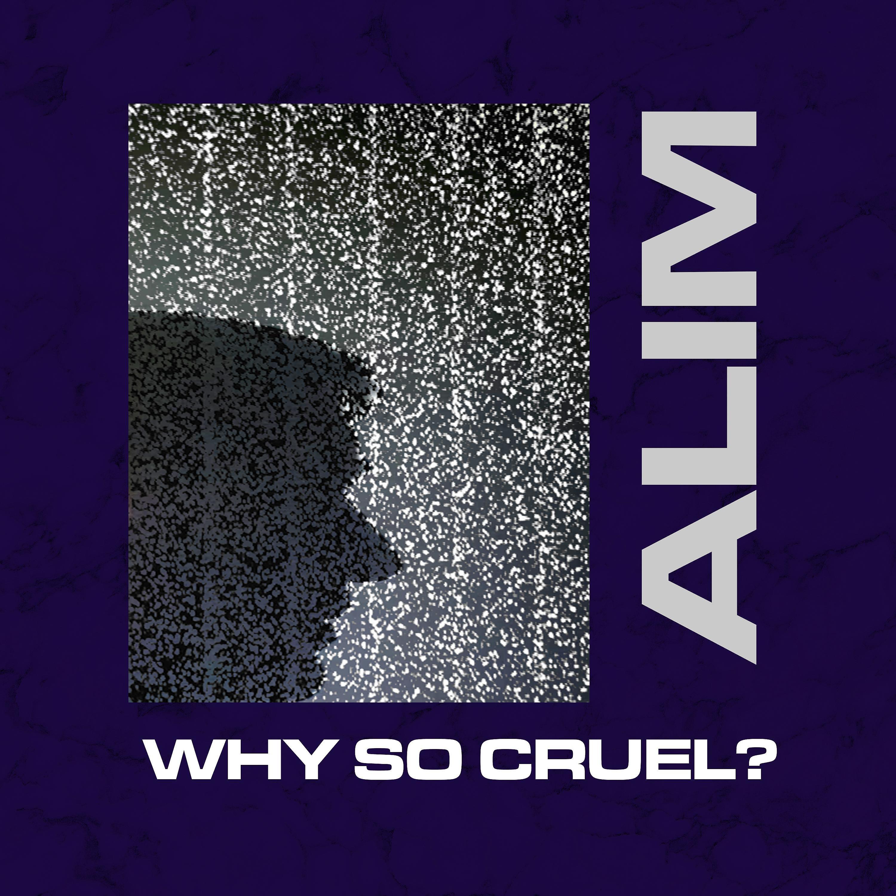 Постер альбома Why So Cruel?