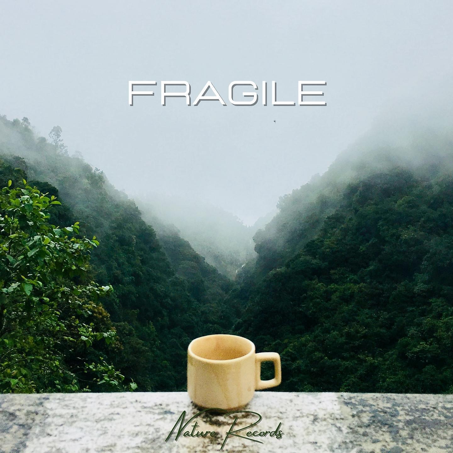 Постер альбома Fragile