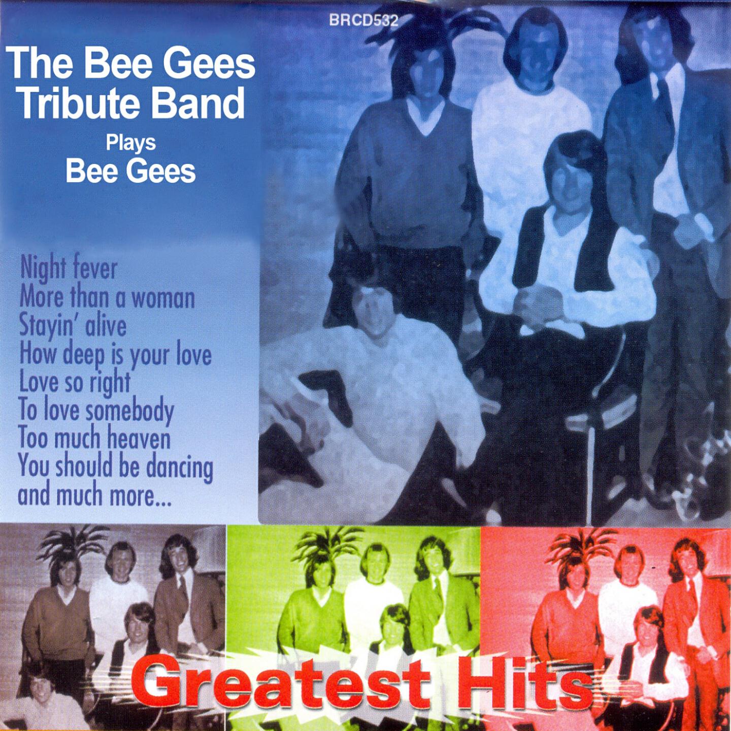 The Bee Gees Tribute Band - More Than a Woman