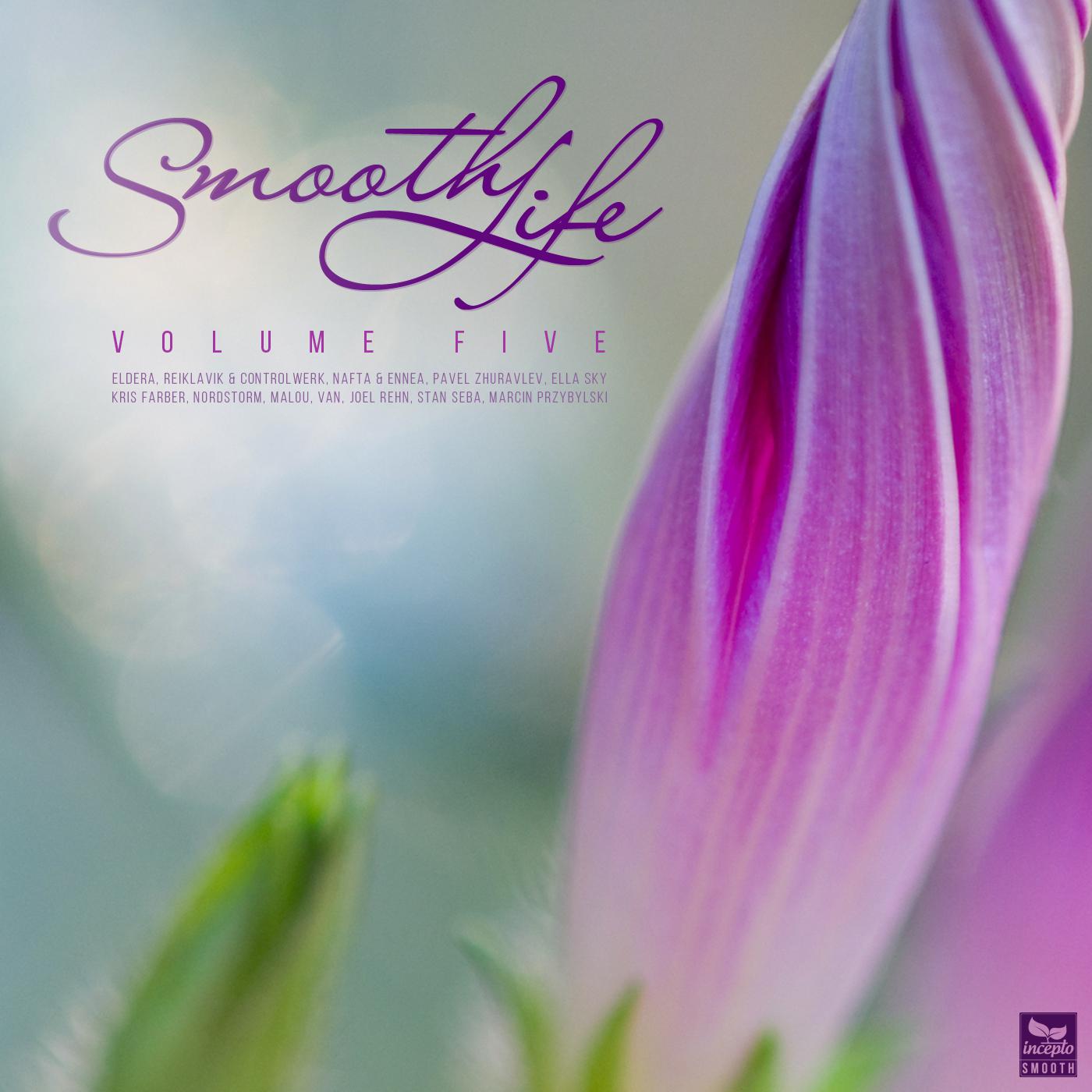 Постер альбома Smooth Life, Vol. 5