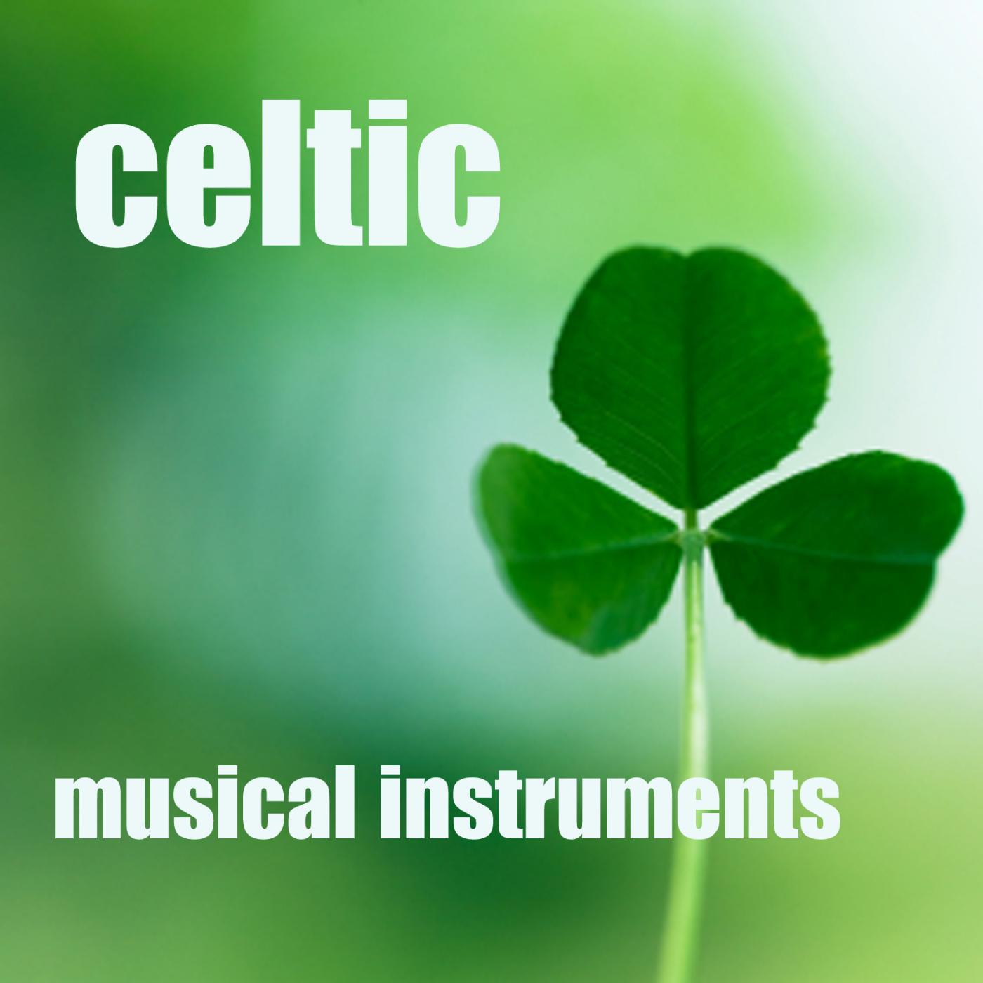 Постер альбома Celtic Musical Instruments - Instrumental Celtic