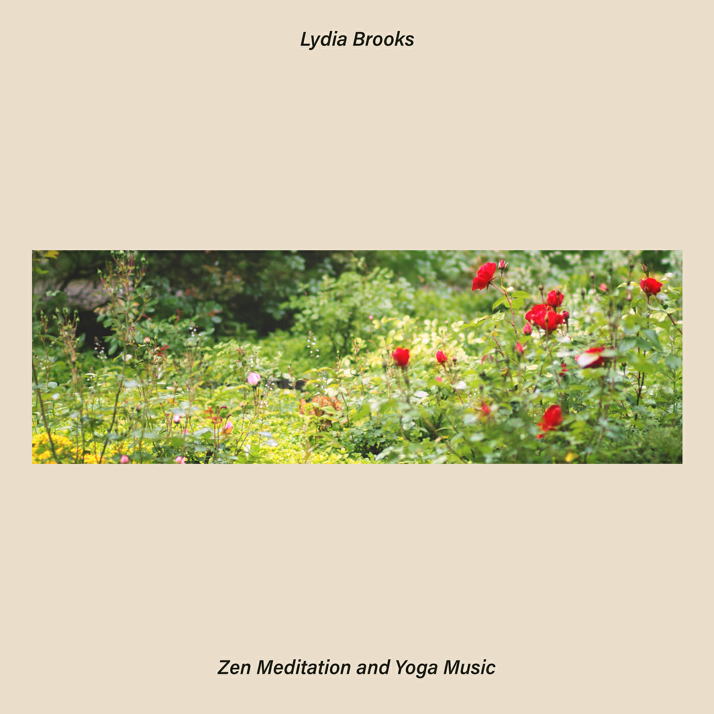 Zen Meditation - Flowing Energy