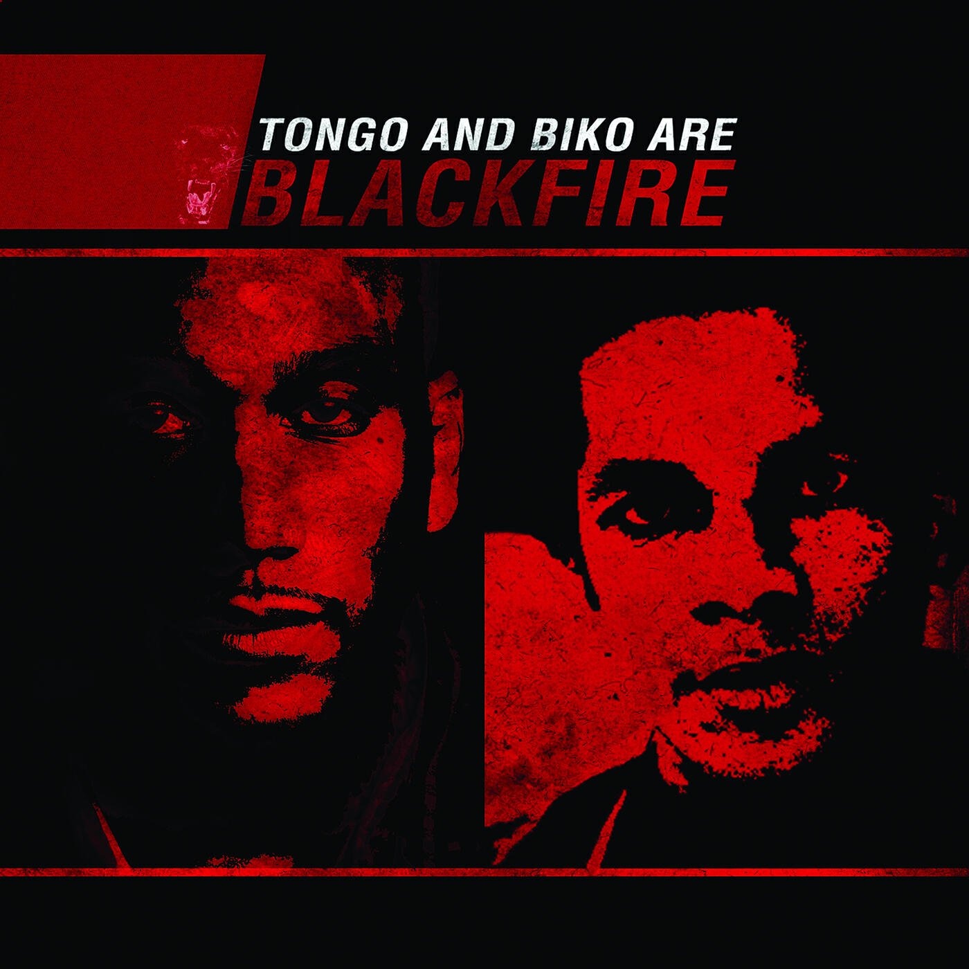 Tongo - A Song for Cannon