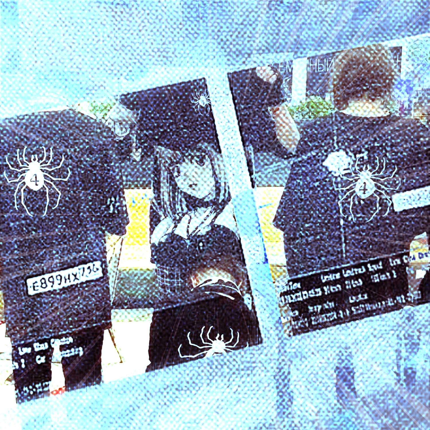 Постер альбома Skyline Ryodan