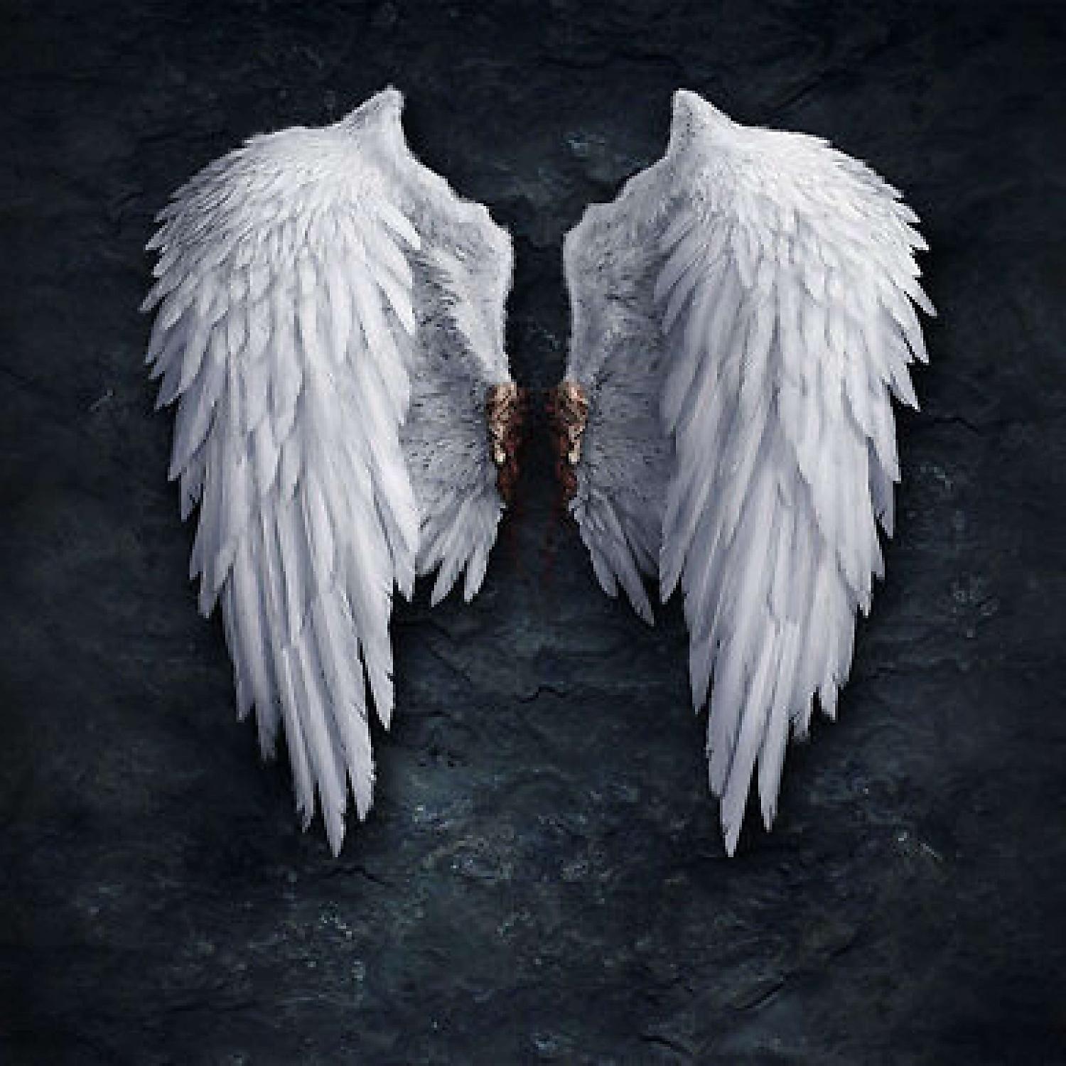 Постер альбома ONIIXXONE - Ангелы