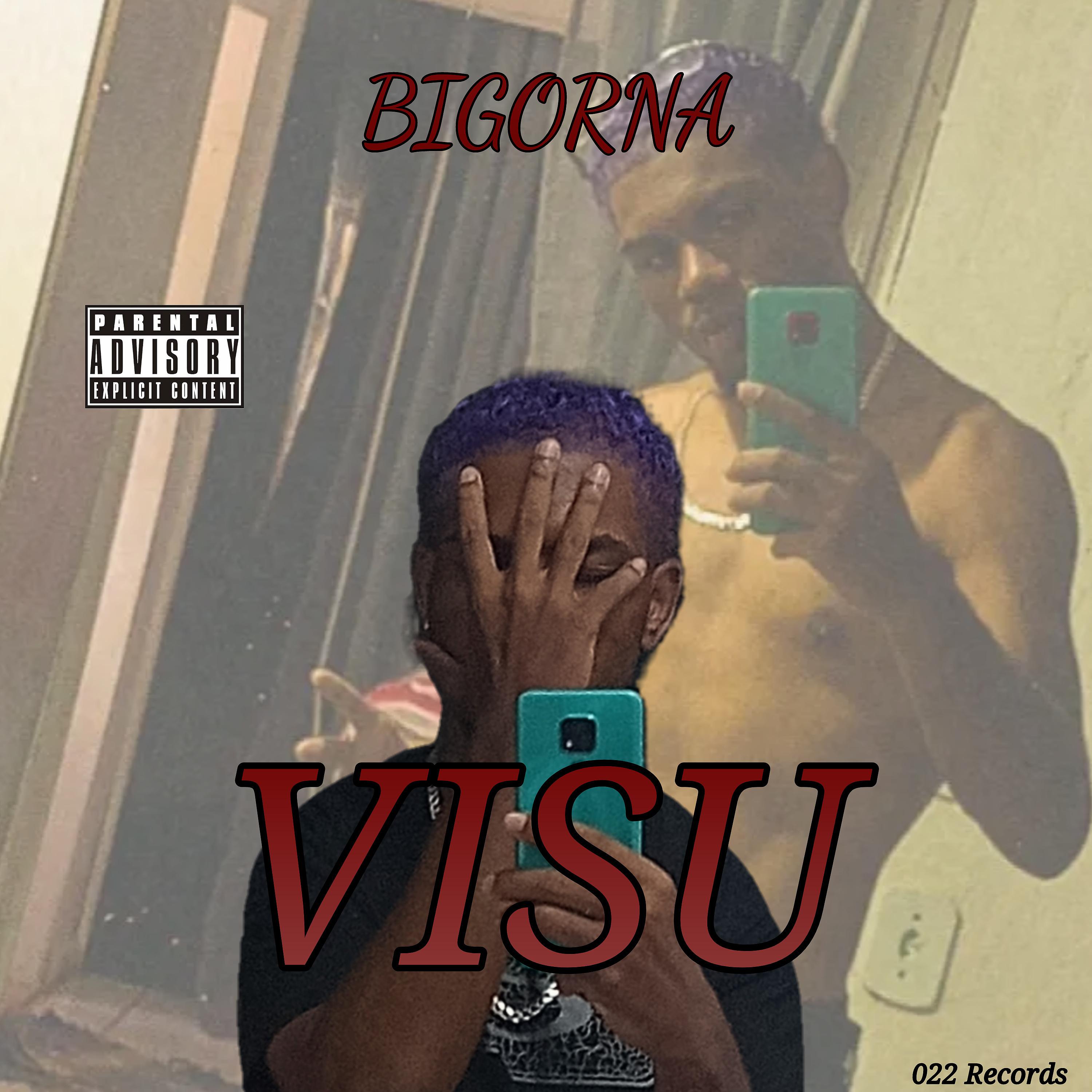 Постер альбома Visu