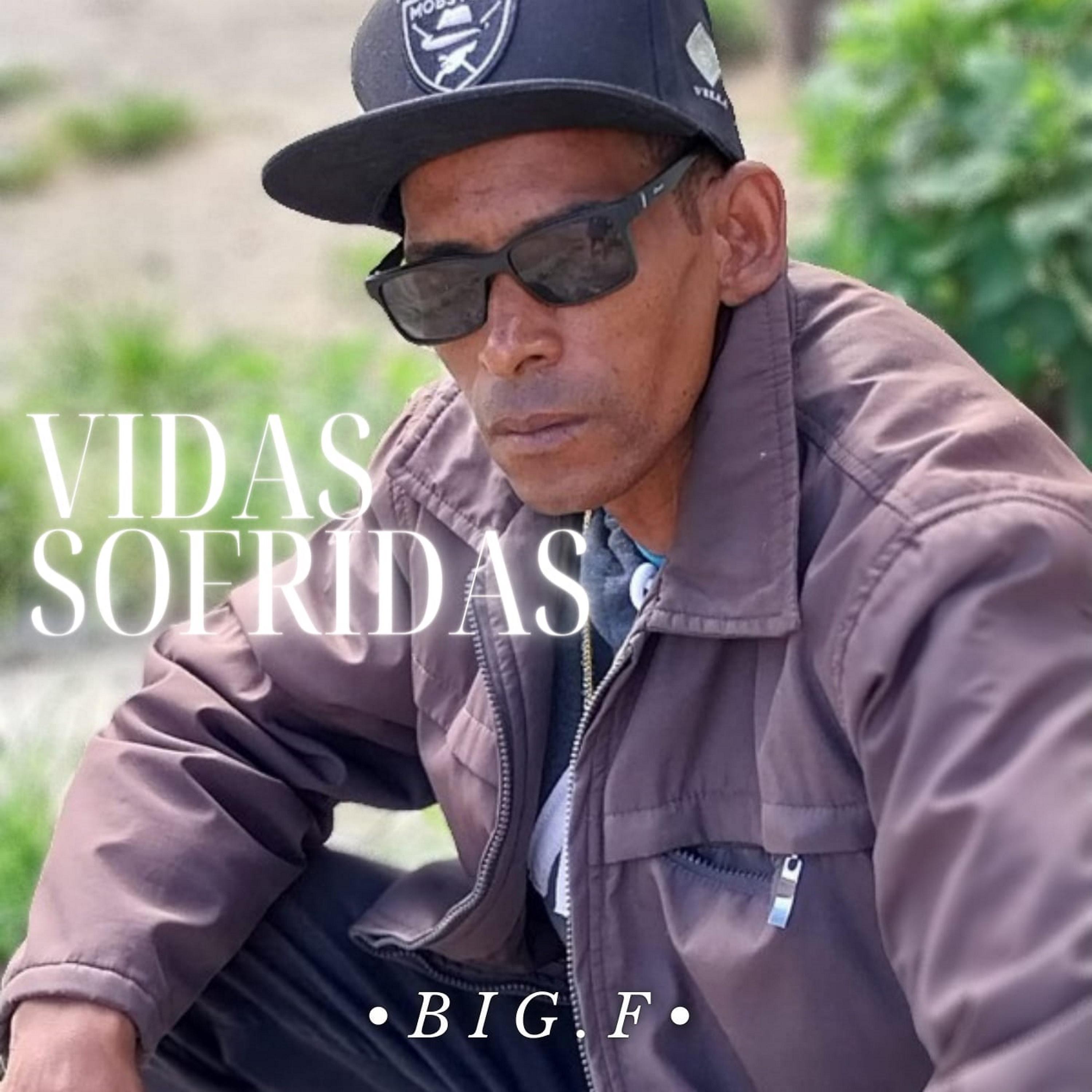 Постер альбома Vidas Sofridas