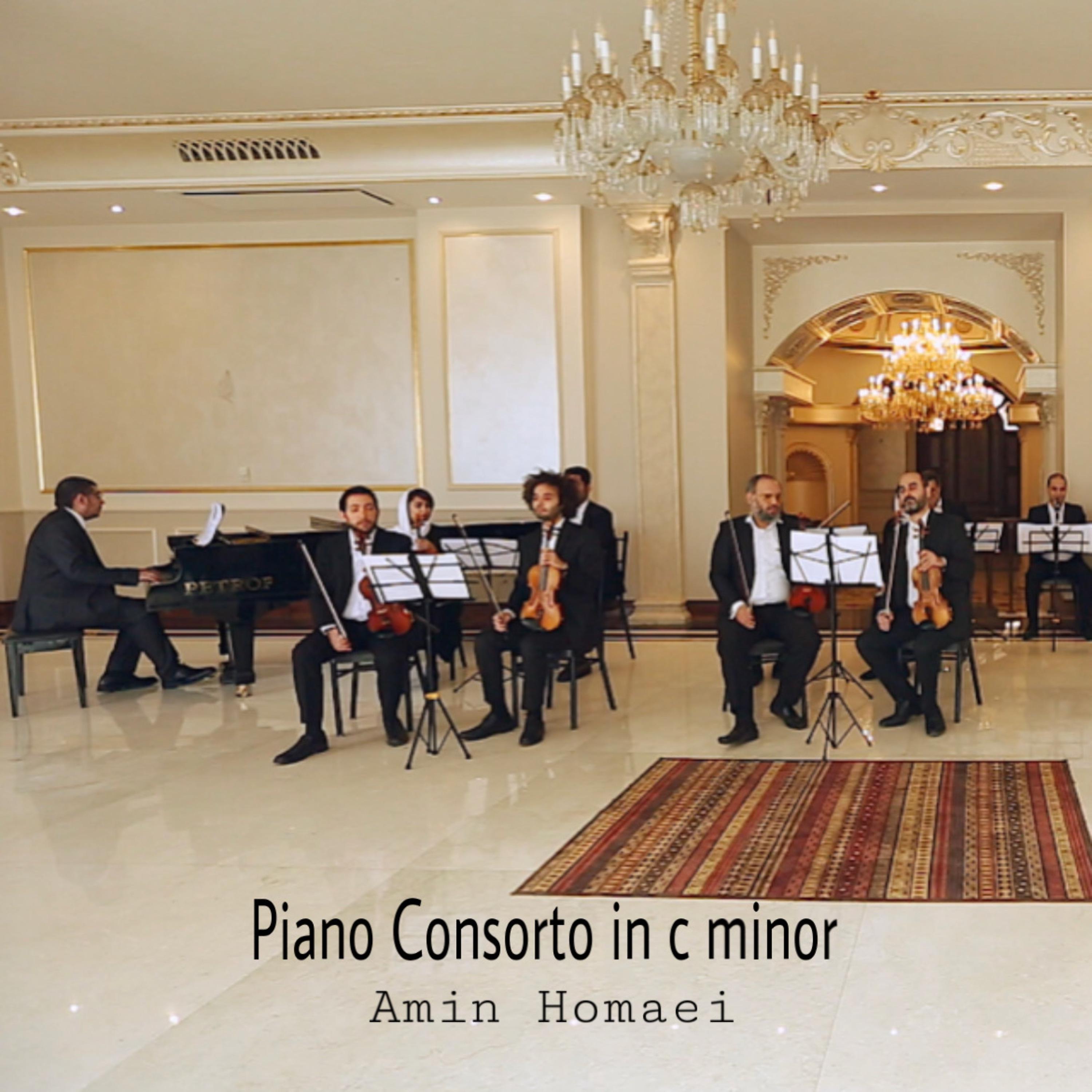 Постер альбома Piano Concerto in C Minor