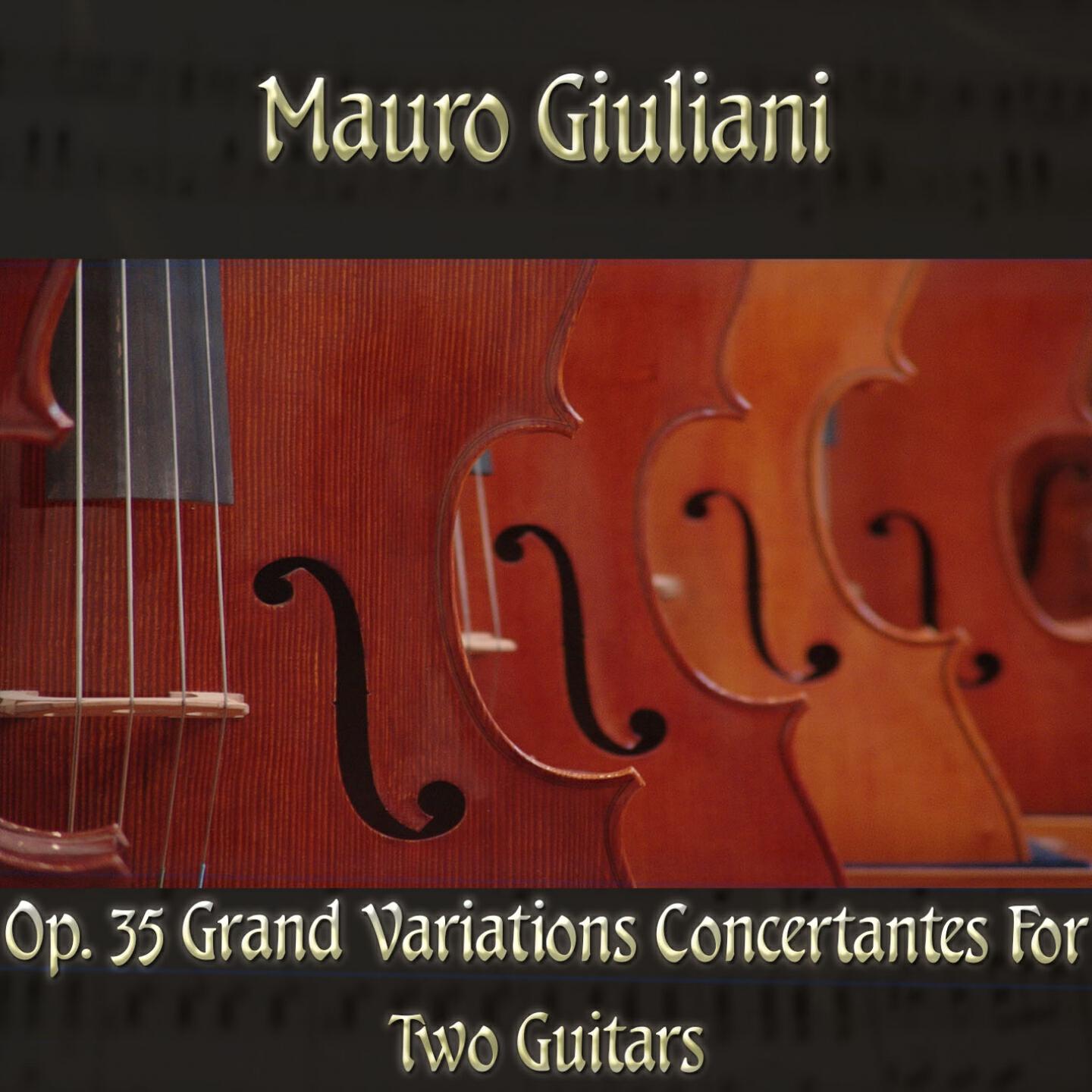 The Classical Orchestra - Op. 35 Grand variations concertantes for two guitars in A Major, Op. 35