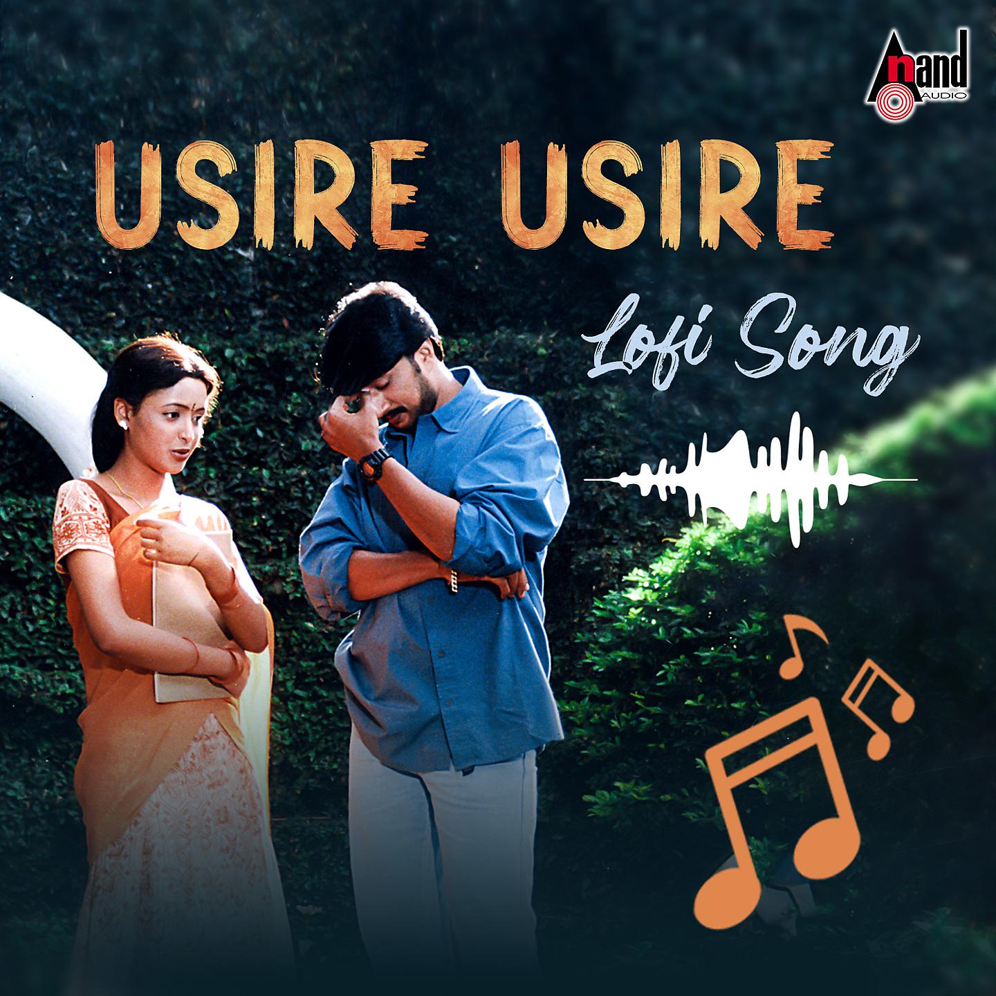Постер альбома Usire Usire lofi Song