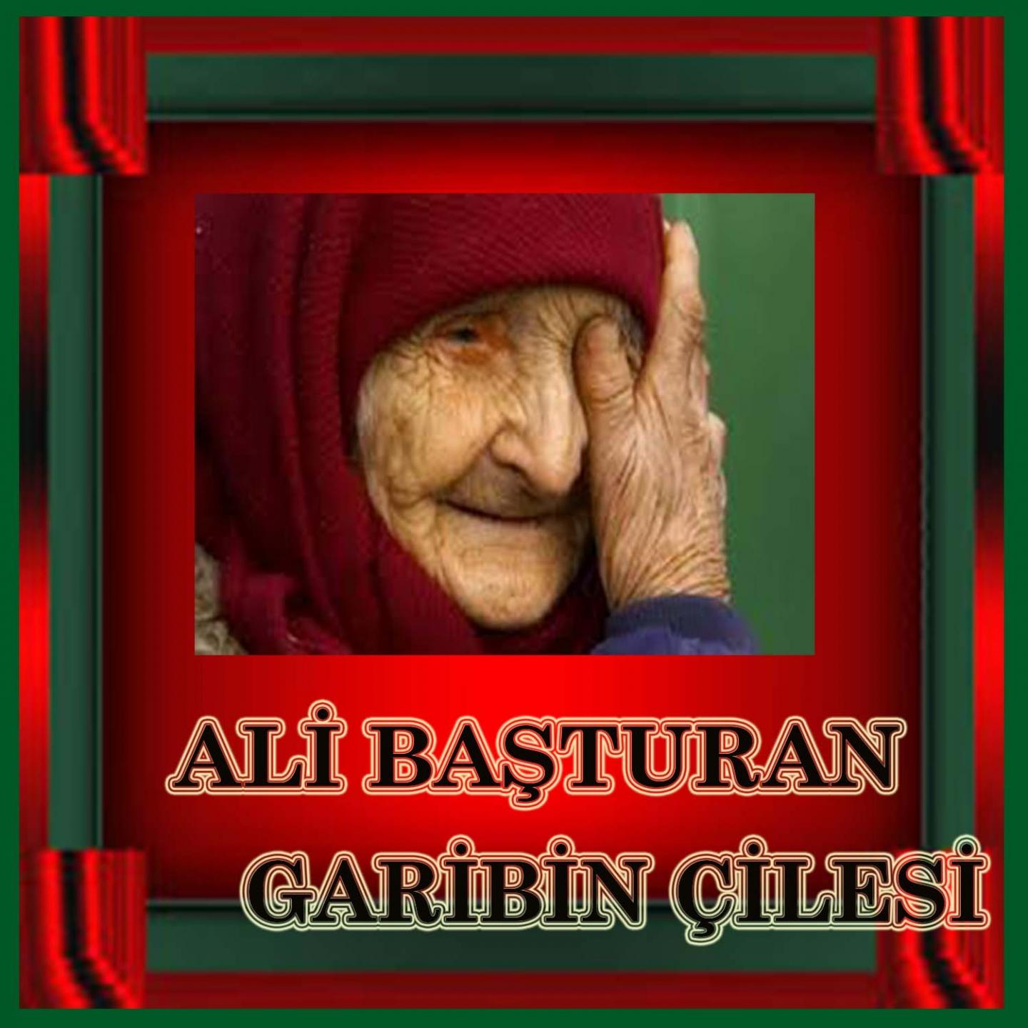 Постер альбома Garibin Çilesi