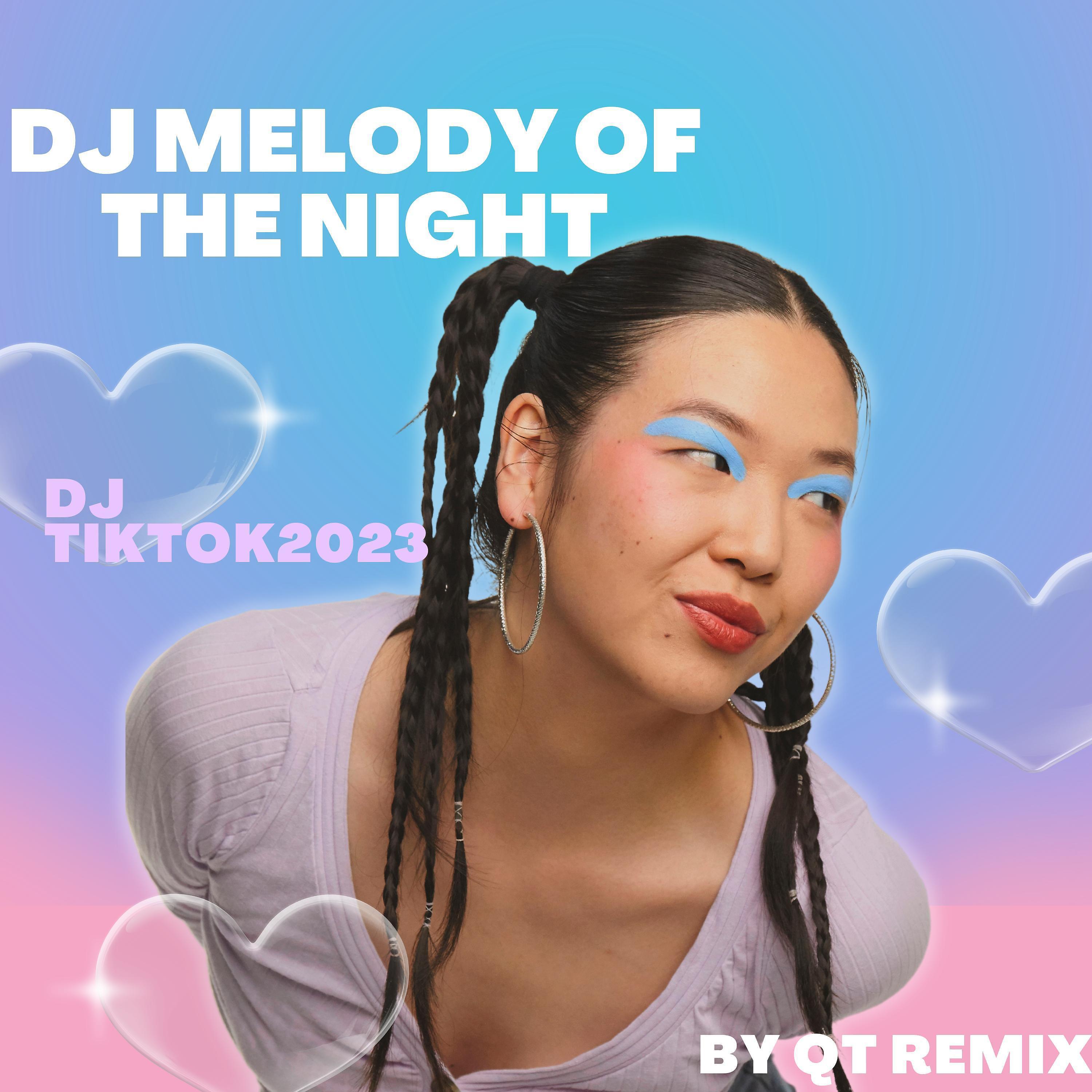 Постер альбома Remix Melody Of The Night
