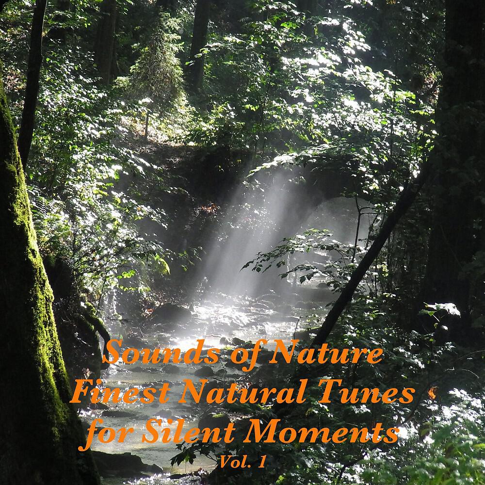 Fantasy Music - Discover Nature