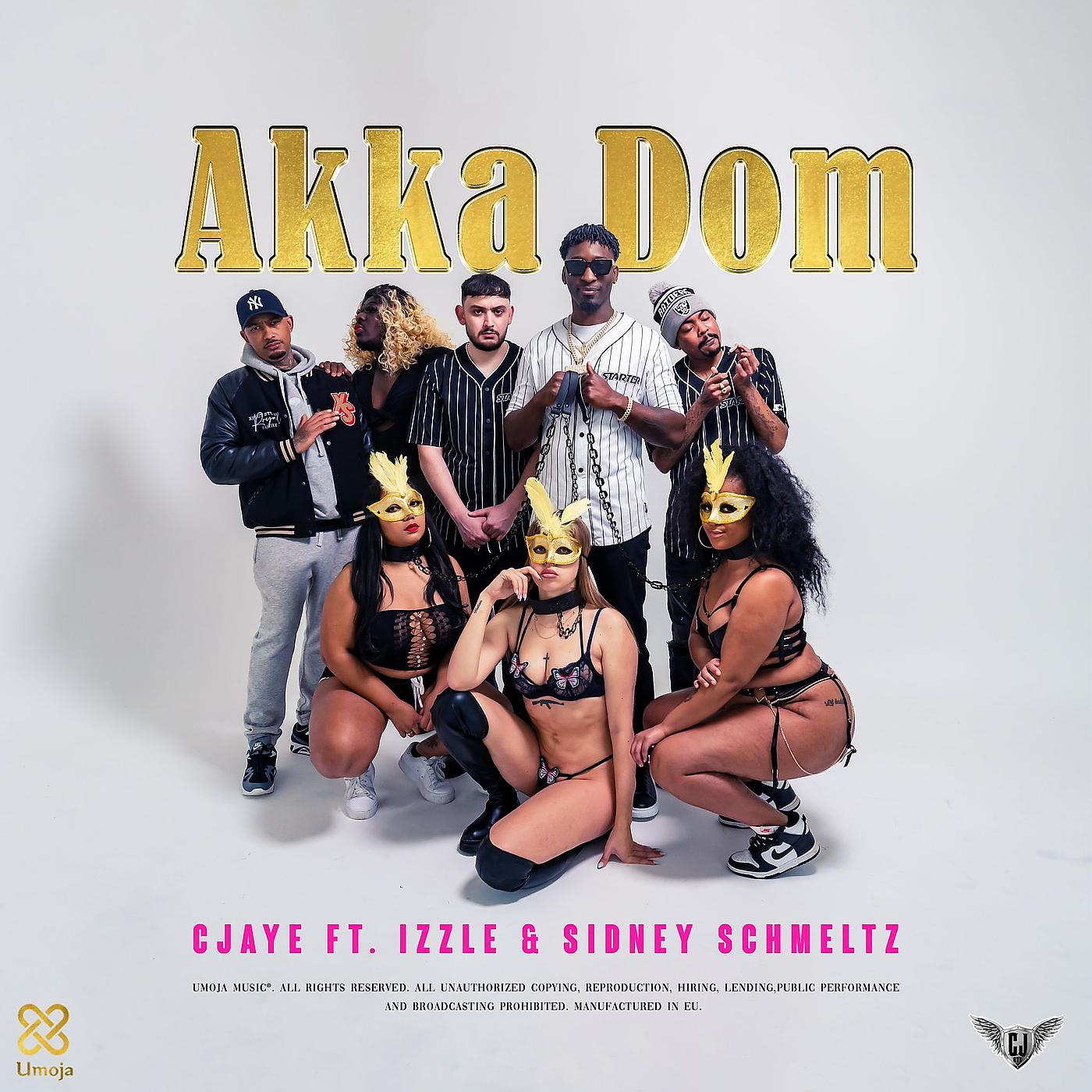 Постер альбома Akka Dom