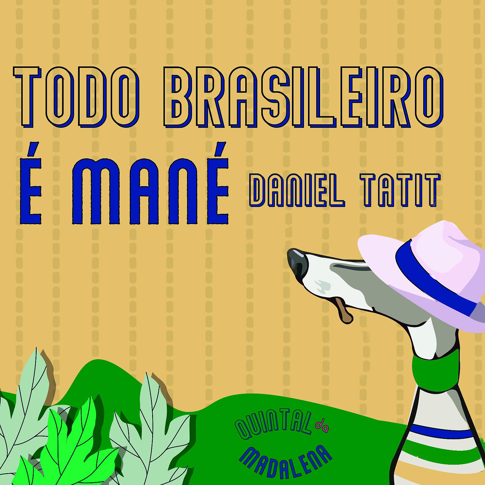 Постер альбома Todo Brasileiro É Mané