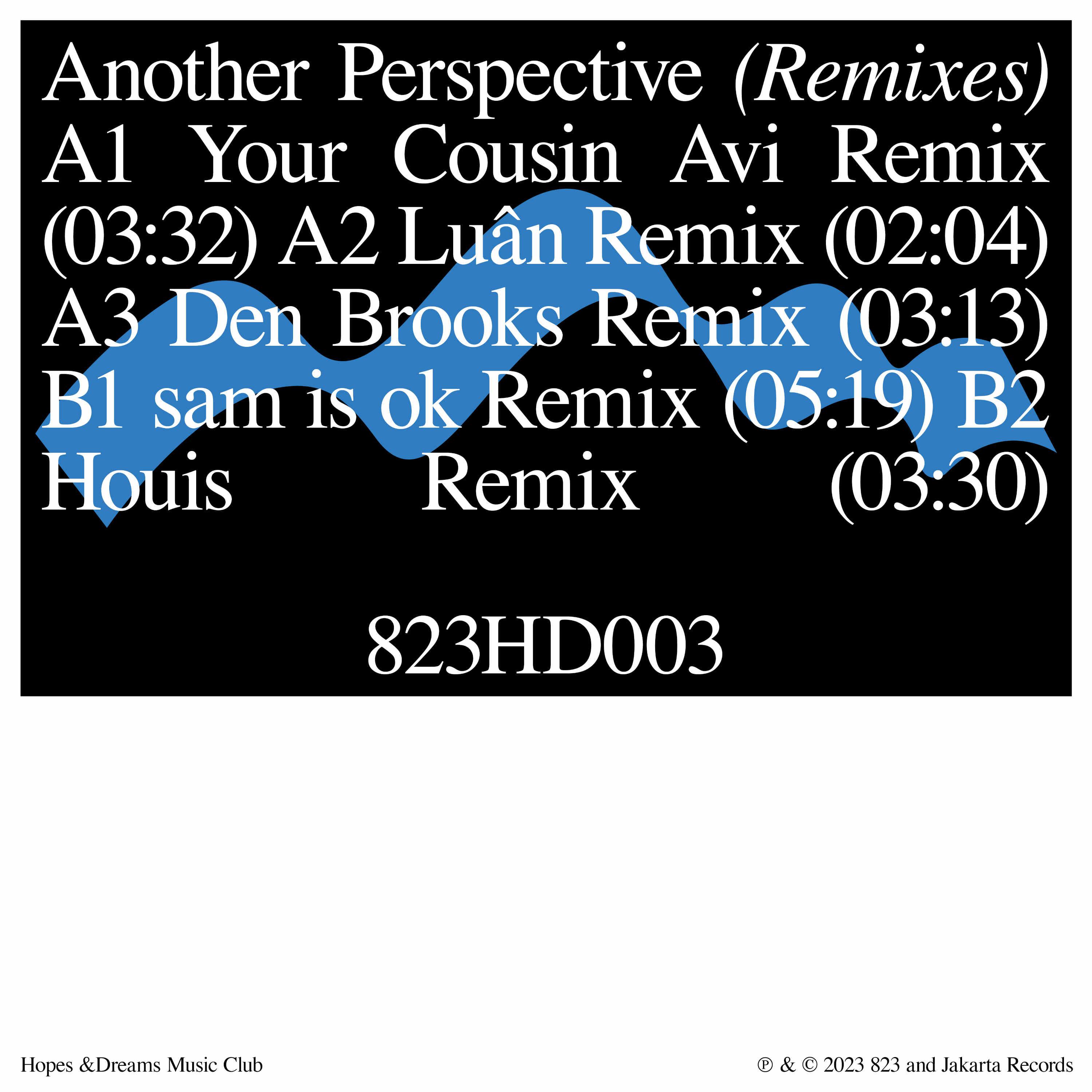 Постер альбома another perspective (Remixes)