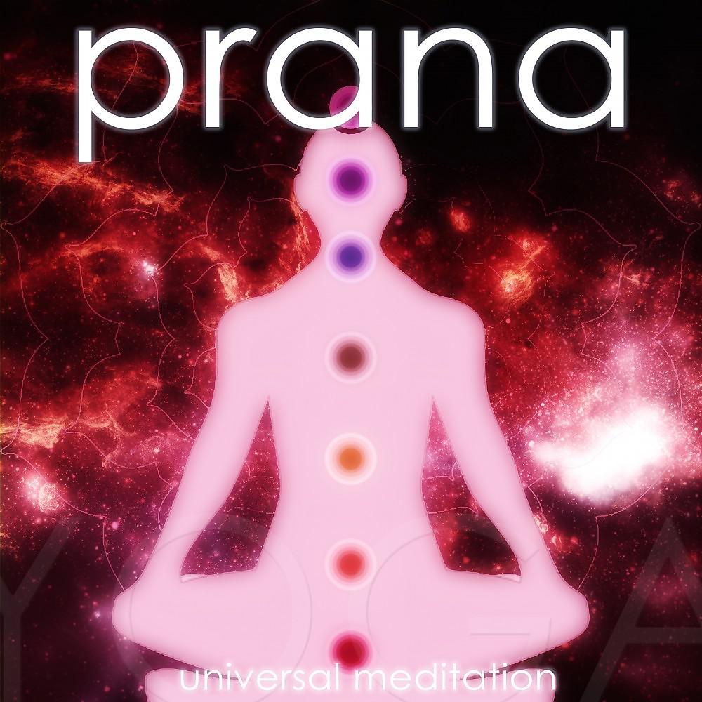 Постер альбома Prana (Universal Meditation)